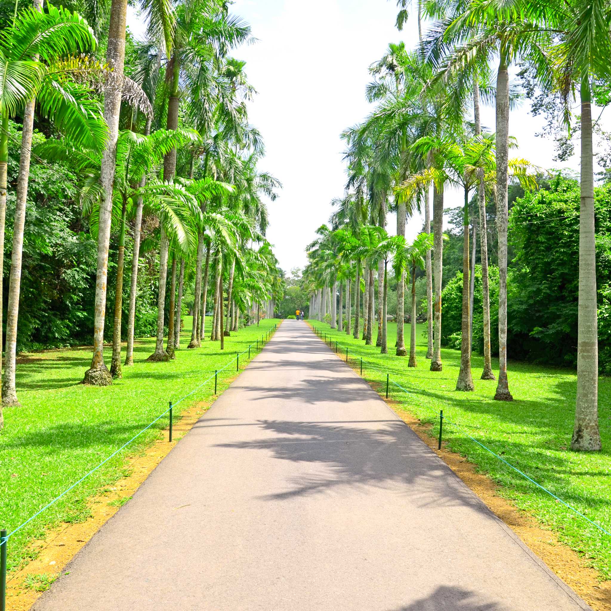 Gampaha