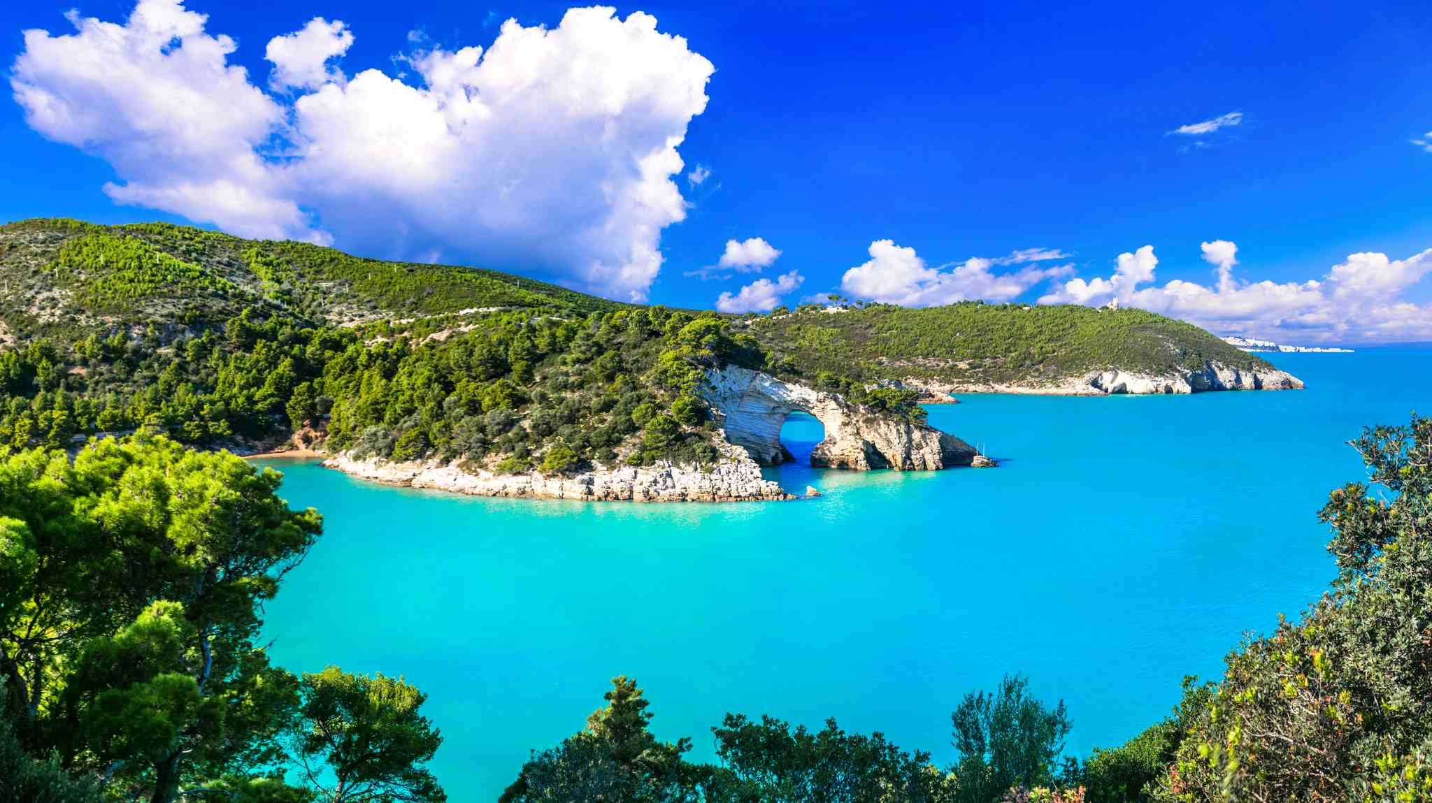 Scenic view of Bari - private day trip from Gargano - photo 5