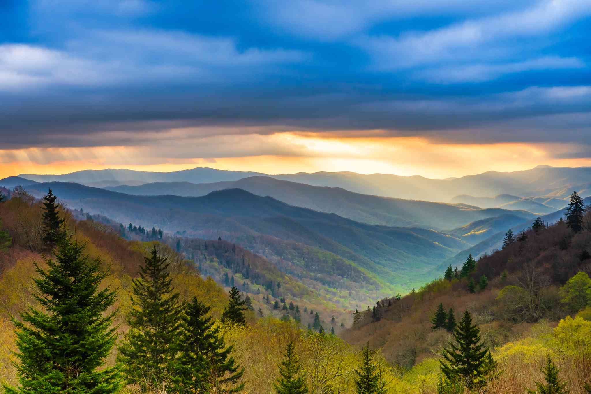 Gatlinburg, TN 의 경치 - St. Pete–Clearwater International Airport 에서 출발하는 개인 day trip - 사진 2