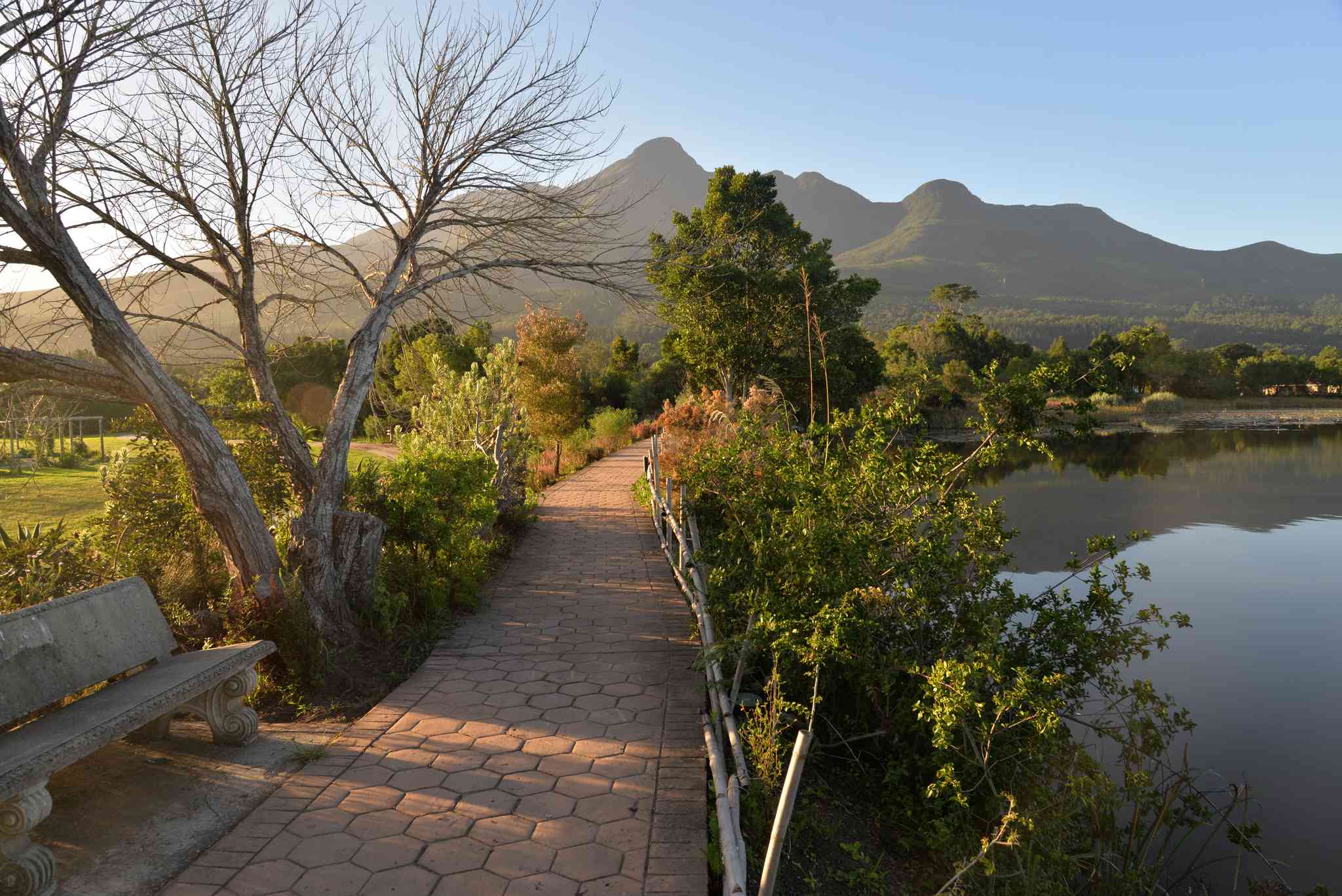 Vacker vy över Cape Town - privat dagsutflykt från George - foto 6
