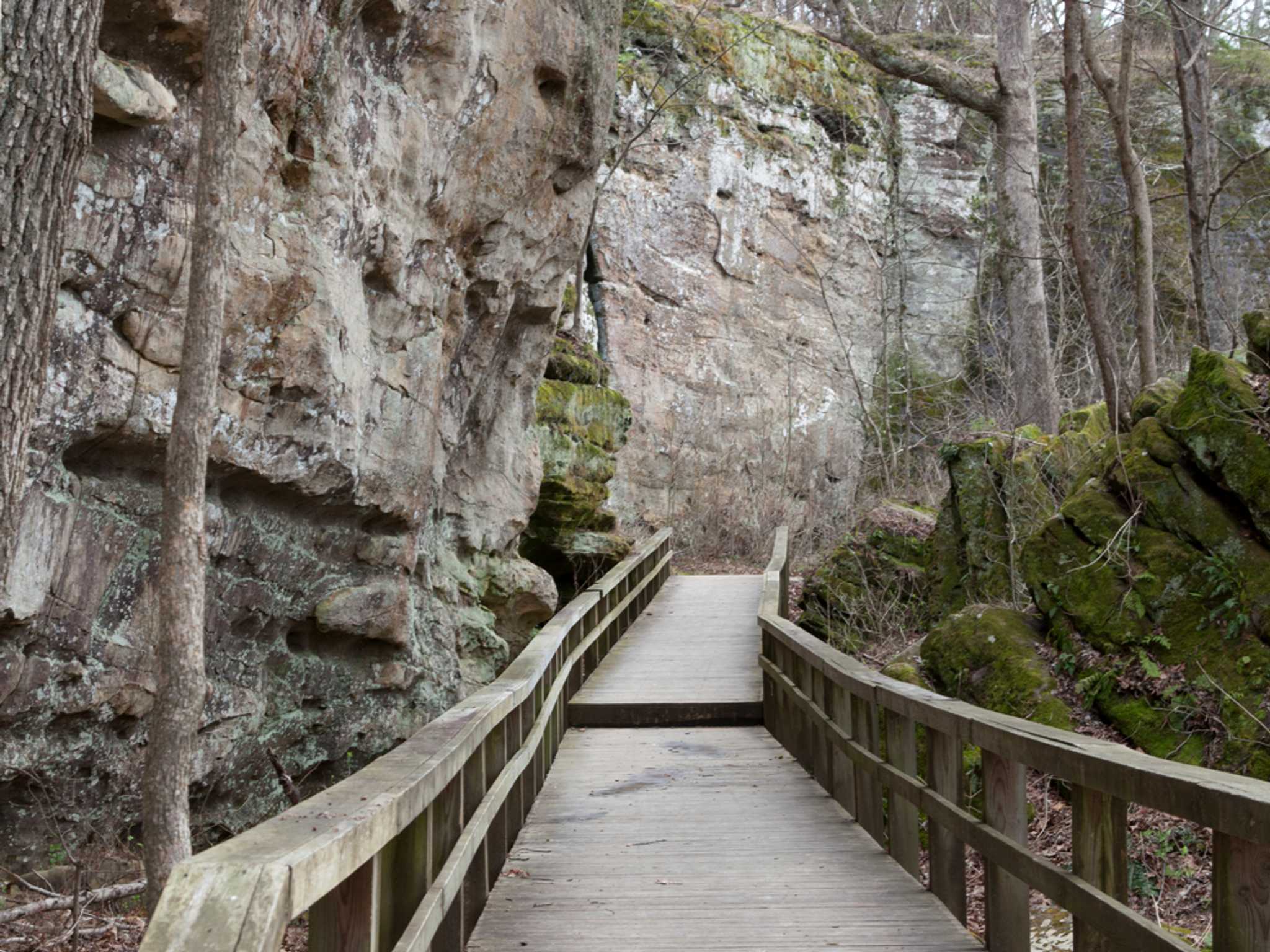 memphis-tn-us에서 st-louis-mo-us으로 가는 길에 Daytrip 으로 Giant City State Park 방문하기