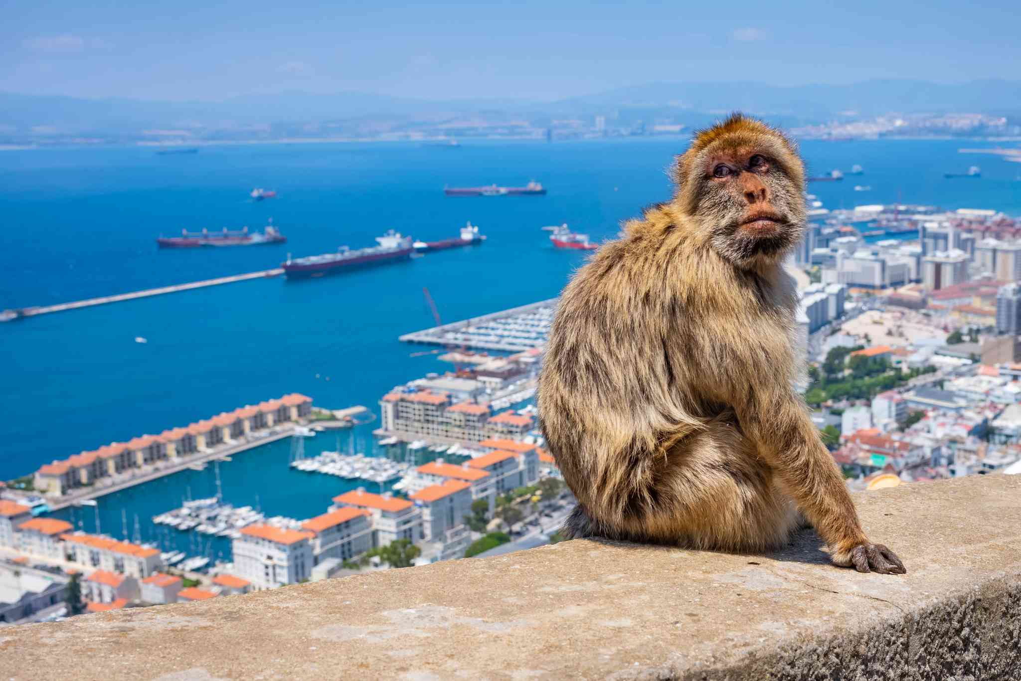 Blick auf die Landschaft von Gibraltar BORDER - private Tagesreise von Porto - Foto 4