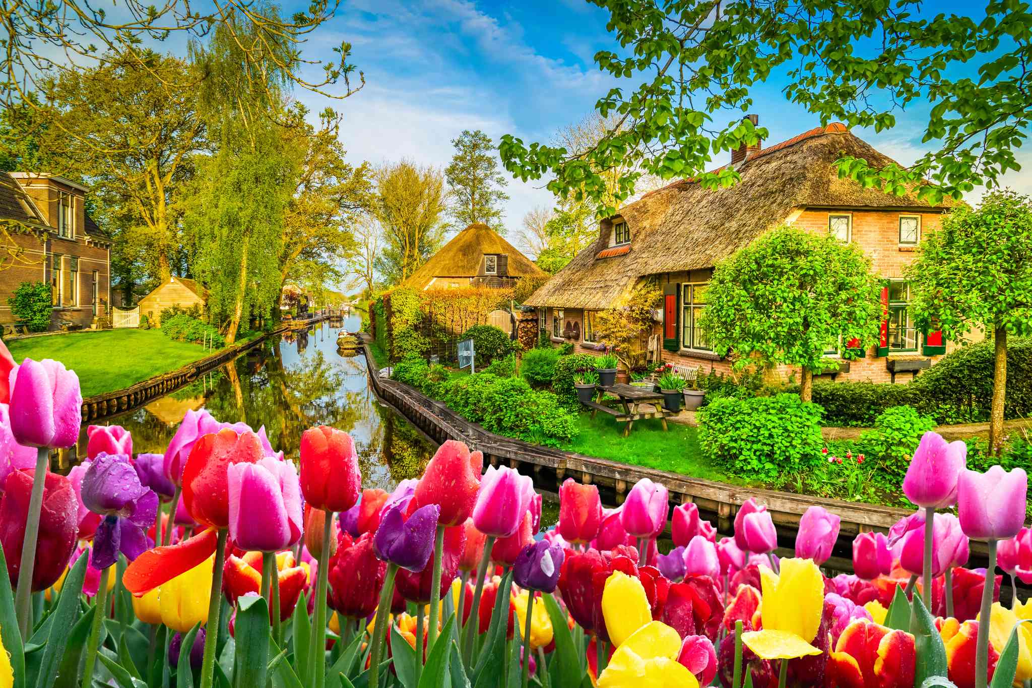 Blick auf die Landschaft von Giethoorn - private Tagesreise von Brüssel - Foto 4