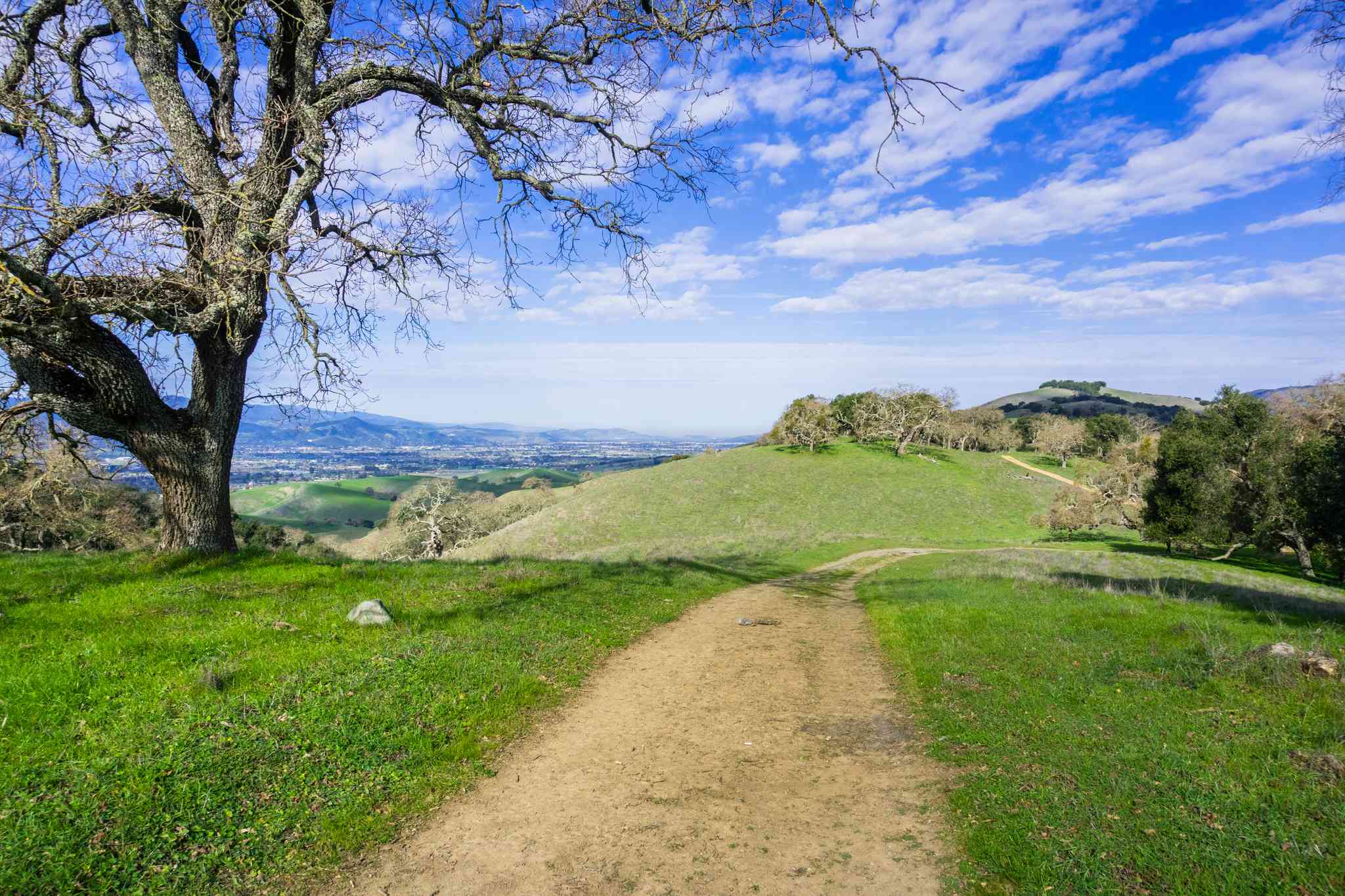 Scenic view of Gilroy - private day trip from Modesto - photo 2