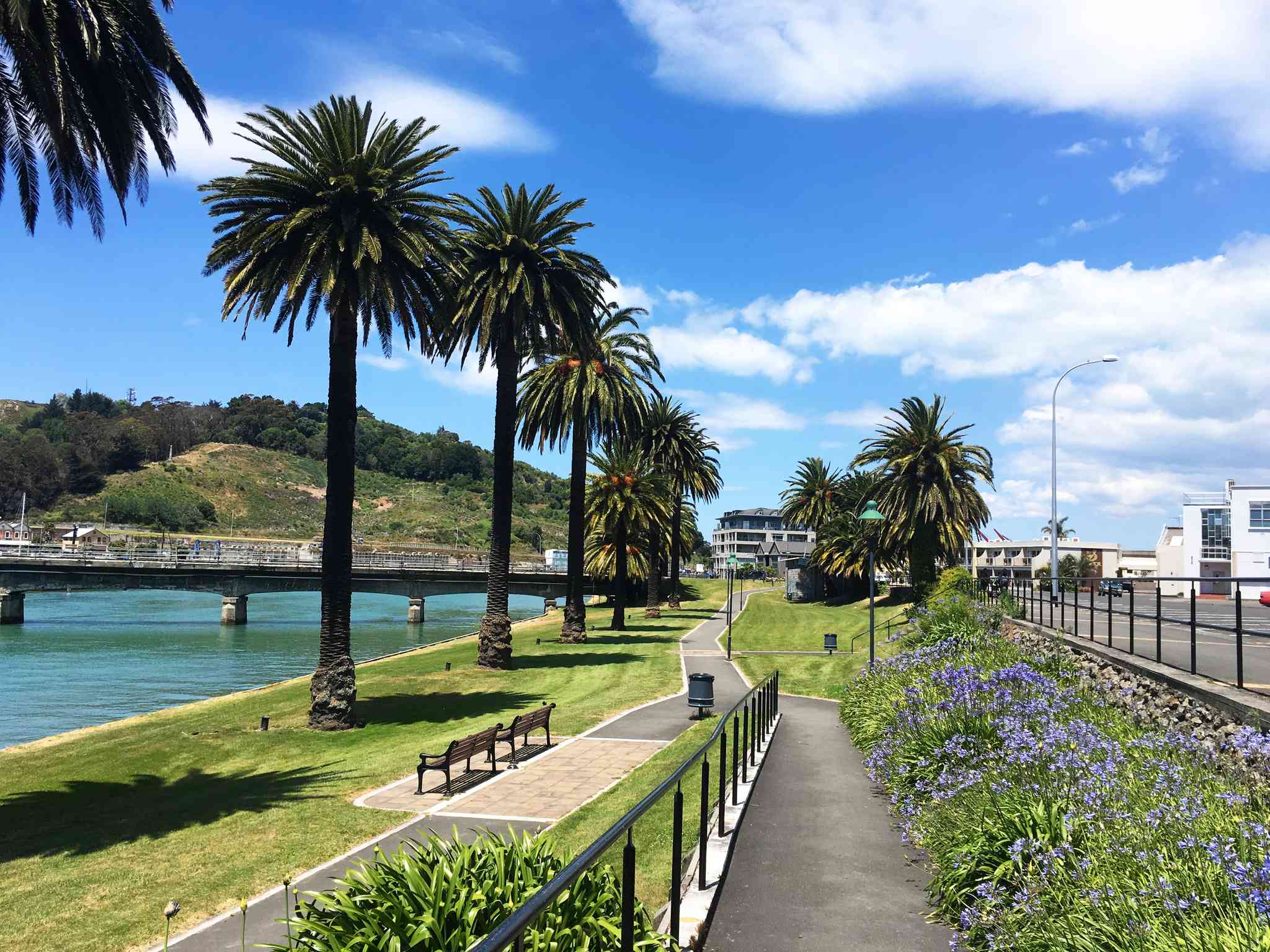 Vista cênica de Gisborne - excursão particular de um dia de Wellington - foto 2