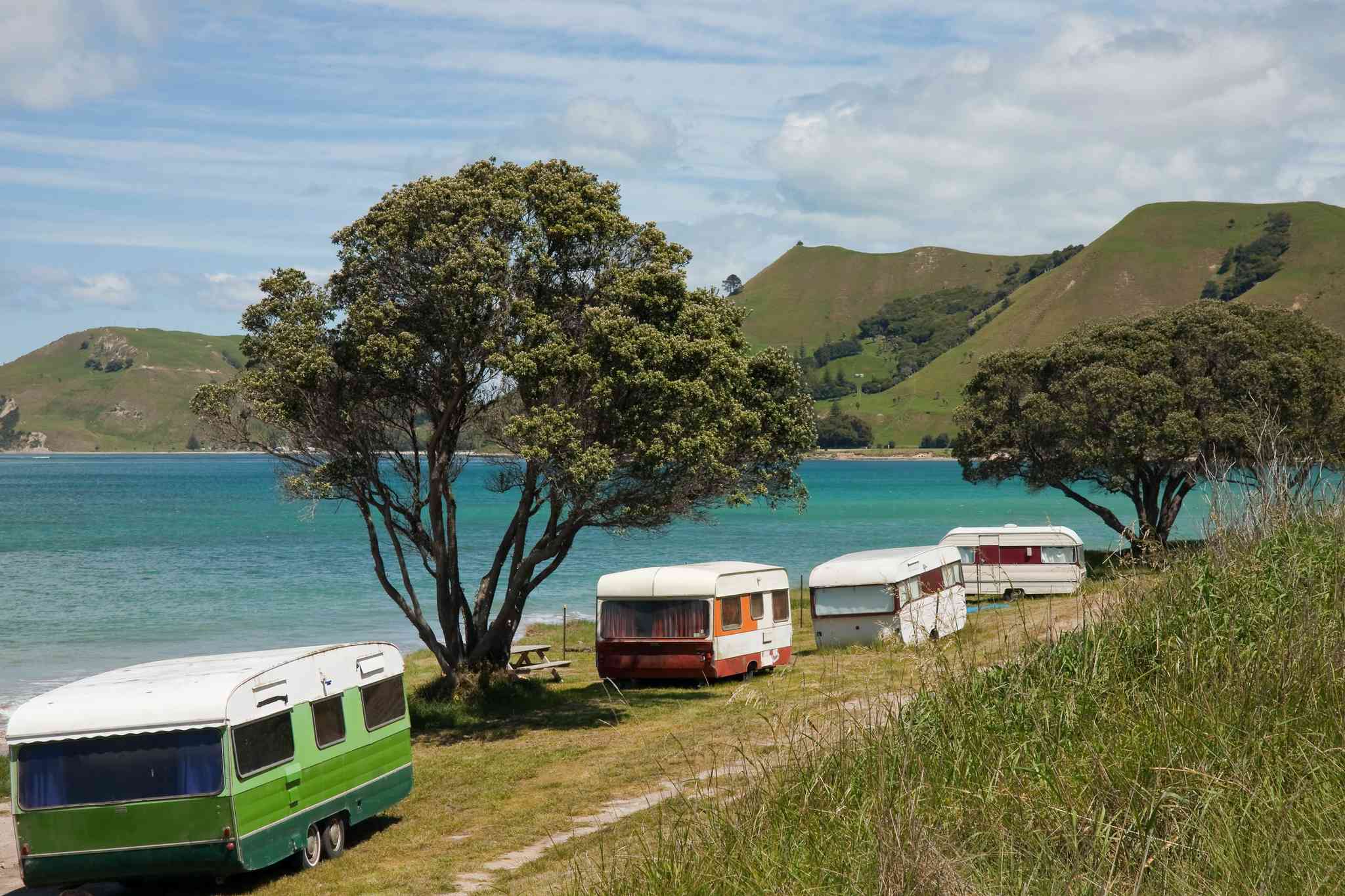 Vista cênica de Gisborne - excursão particular de um dia de Wellington - foto 3
