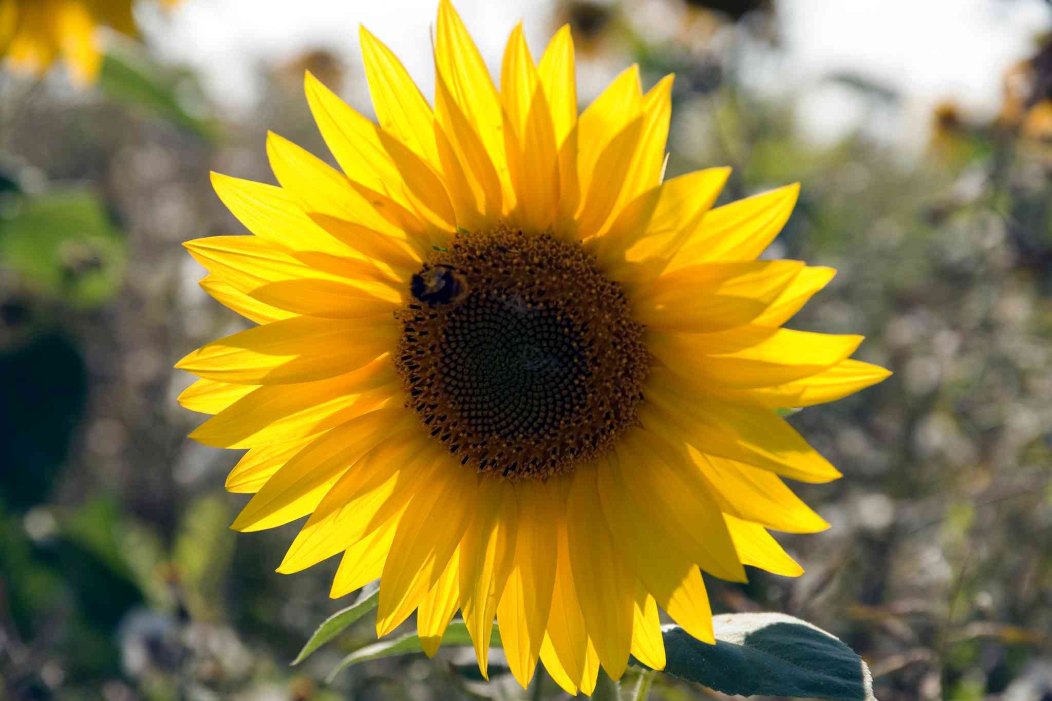 Blick auf die Landschaft von Birmingham - private Tagesreise von Birmingham - Foto 2