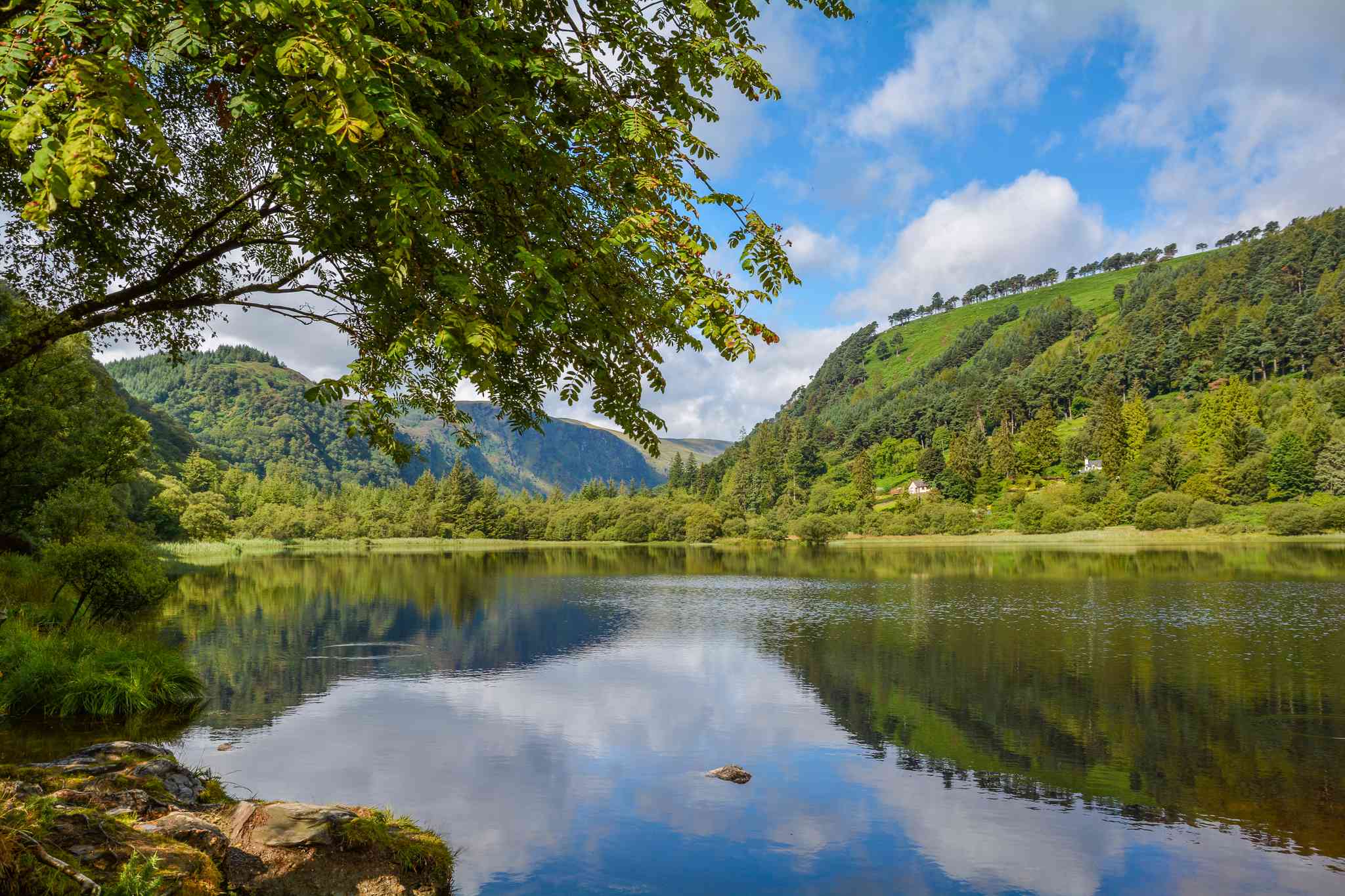 Vista panorámica de Dublín - excursión privada de un día desde Glendalough - foto 7