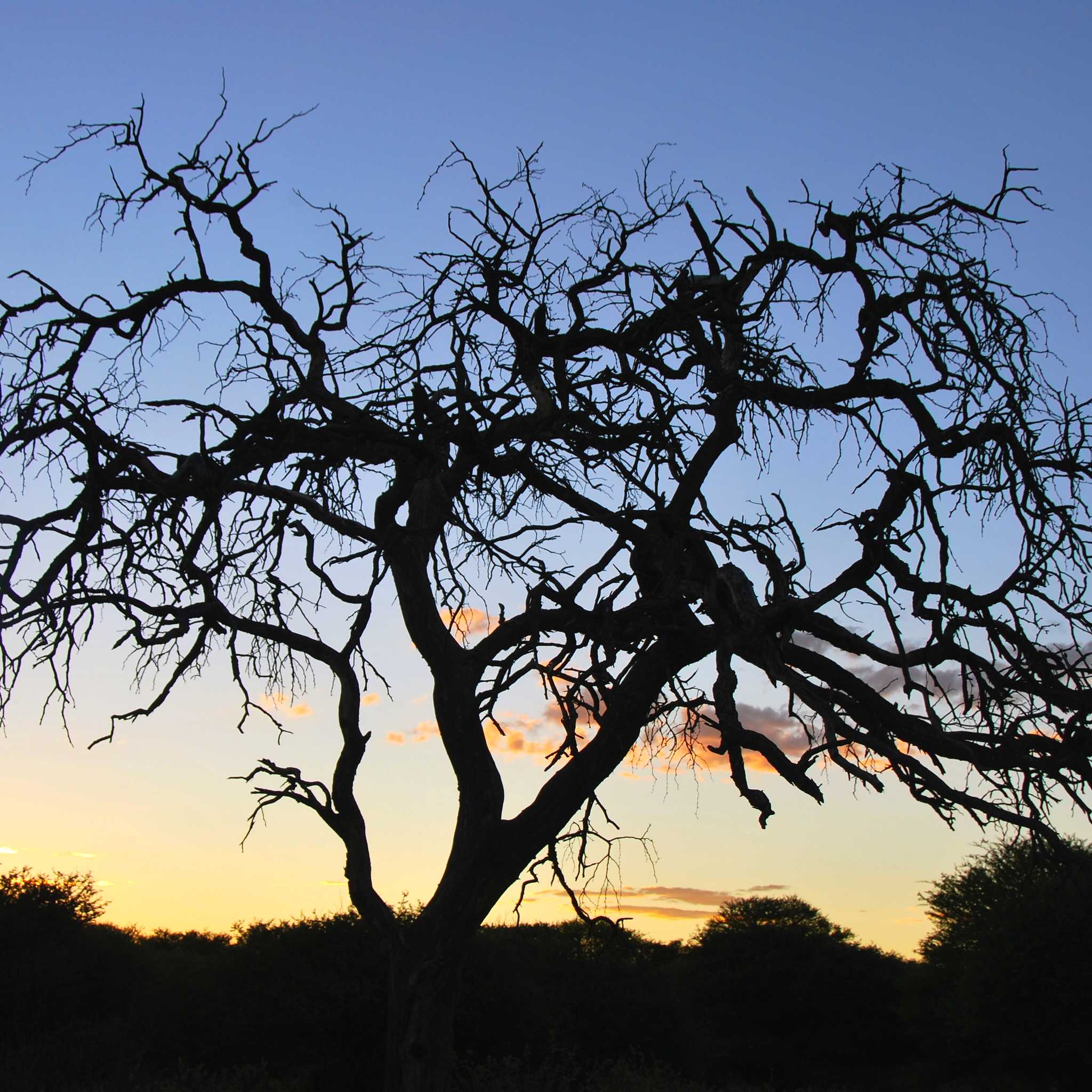 Private car transfers in Namibia from Gobabis