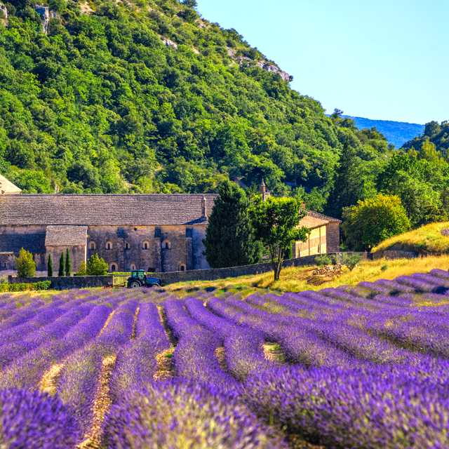 Toulon to Gordes and Roussillon: Private day trip