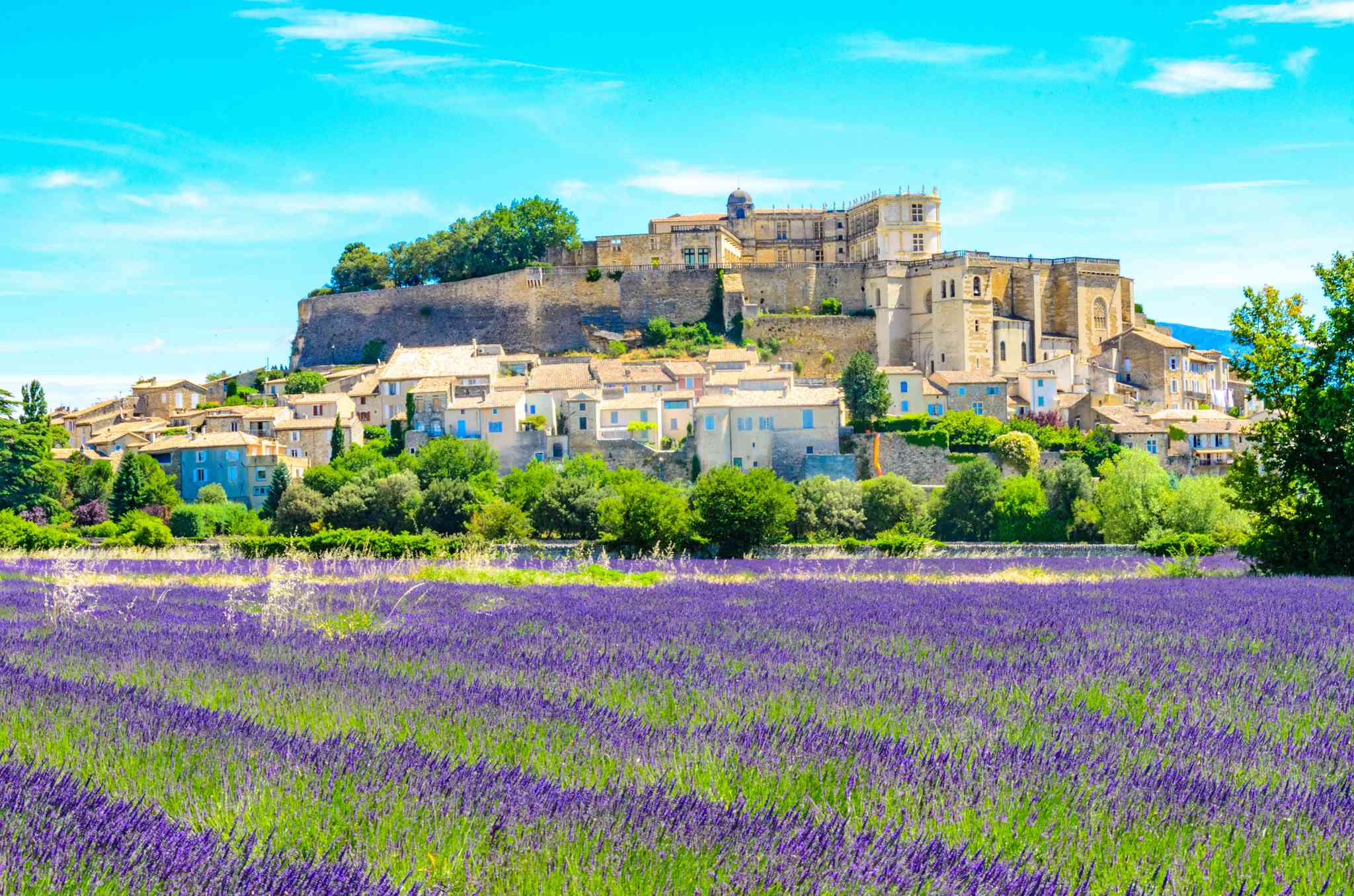 Vista panorámica de Arles - excursión privada de un día desde Gordes - foto 10