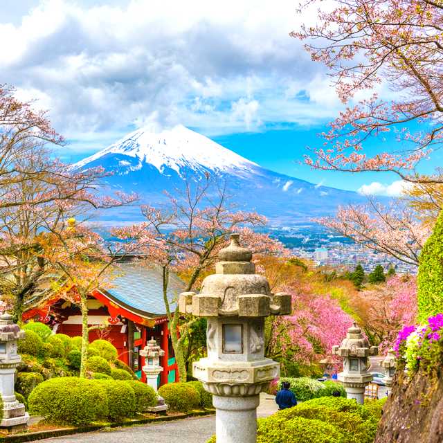 Tokyo to Gotemba: Private day trip