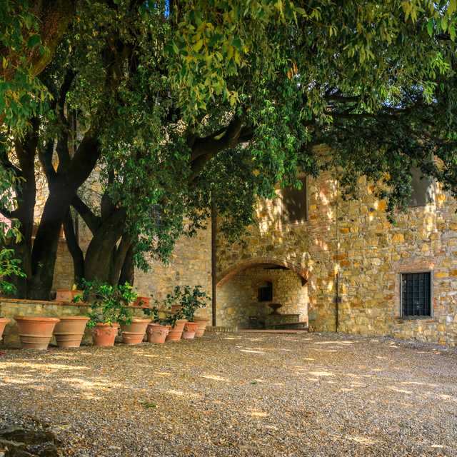 Zakinthos to Askos Stone Park and Goumas Estates: Day trip