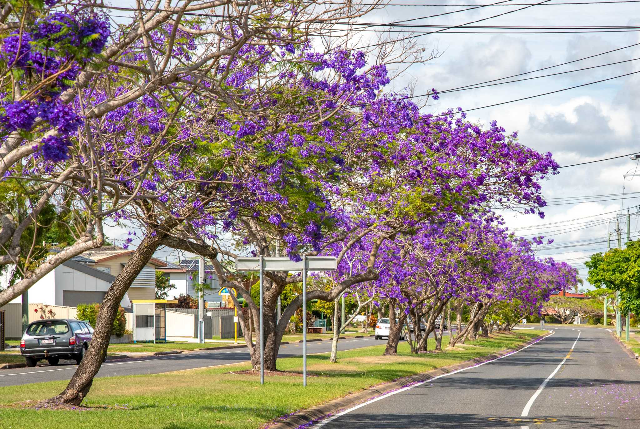 화려한 과거와 현재, 그리고 보라빛 미래가 공존하는 도시.