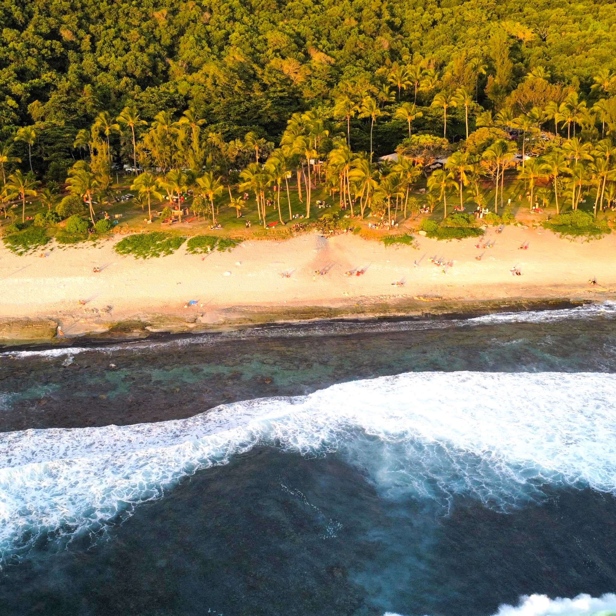 Private car transfers in Réunion from Grande Anse