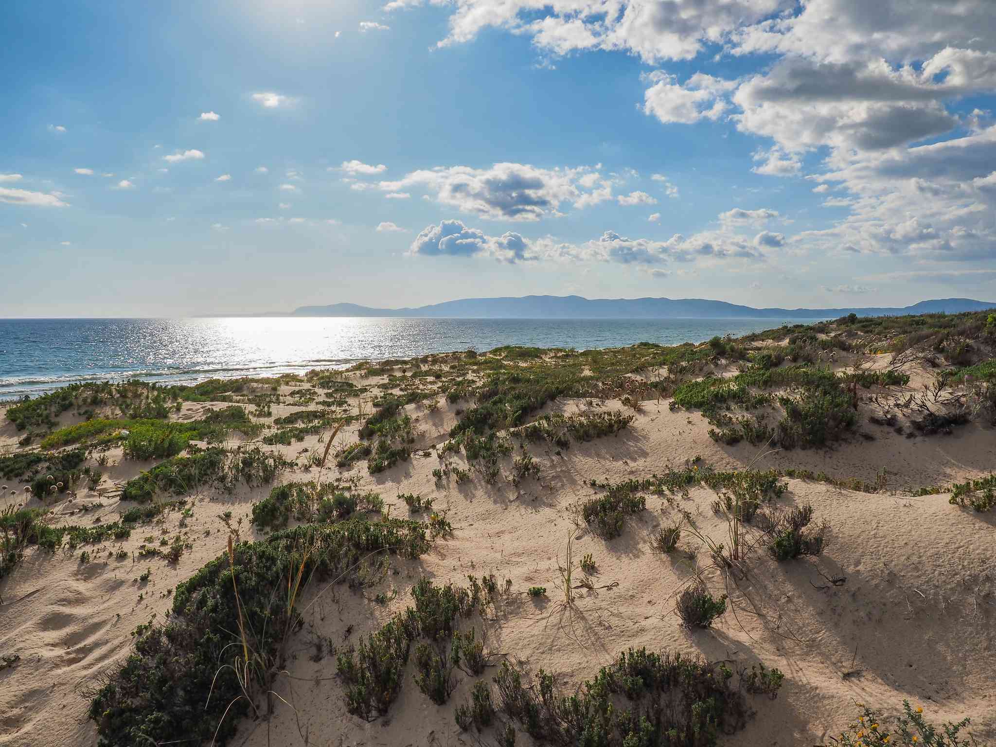 Vista panorámica de Óbidos - excursión privada de un día desde Grandola - foto 12