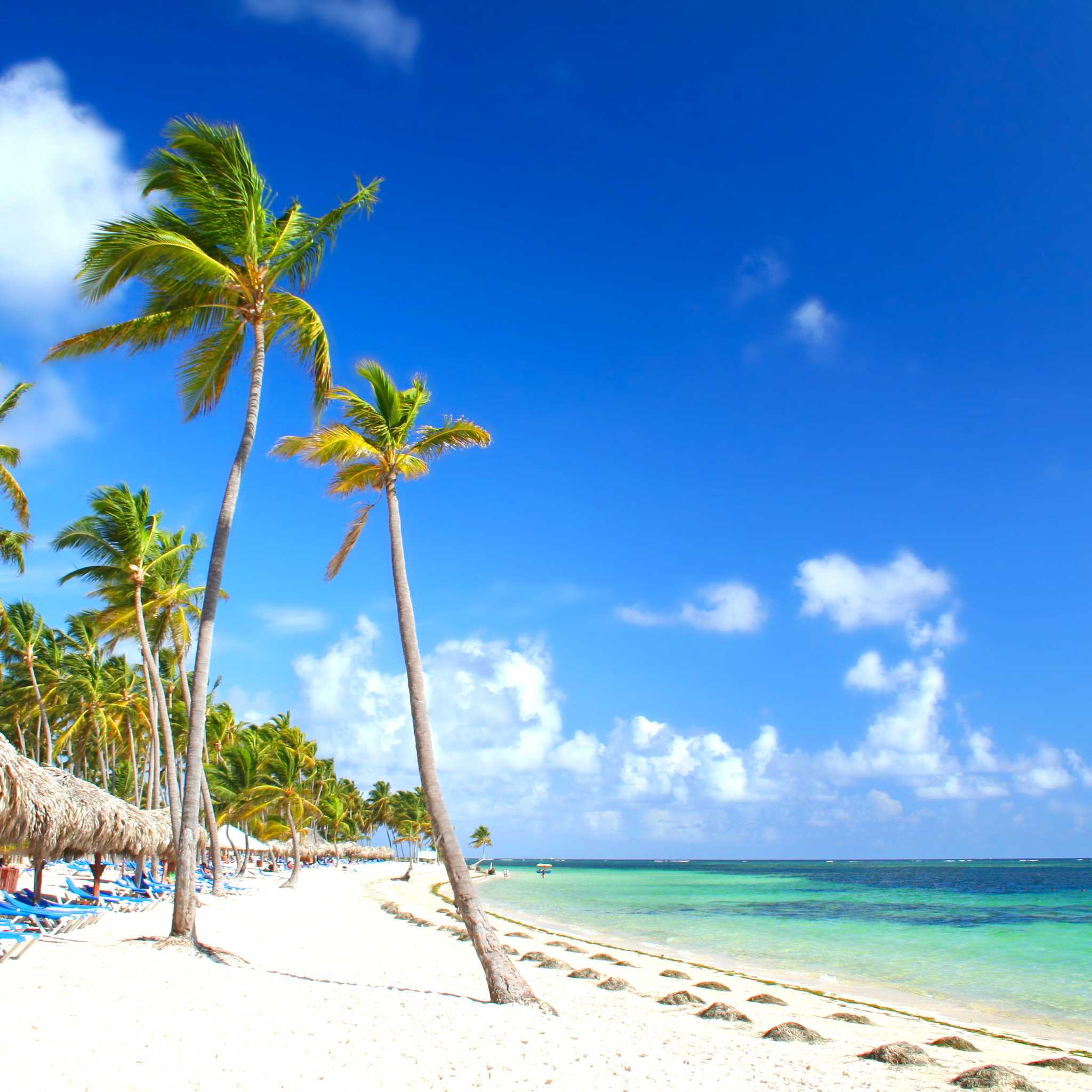 Private car transfers in Jamaica from Grand Palladium