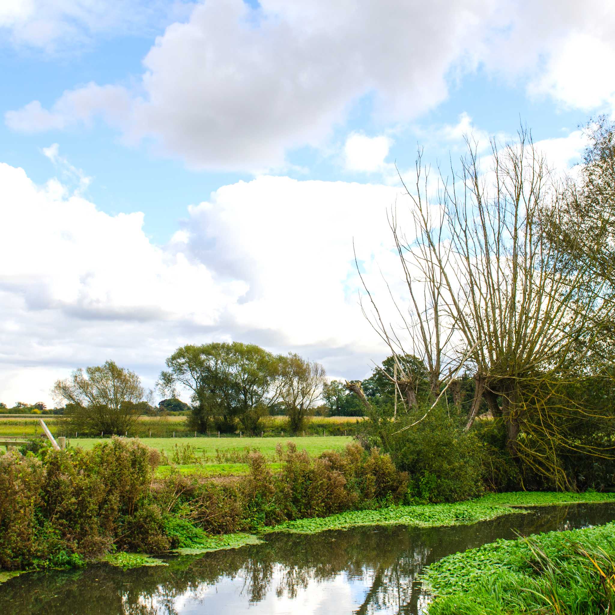 그랜체스터 마을