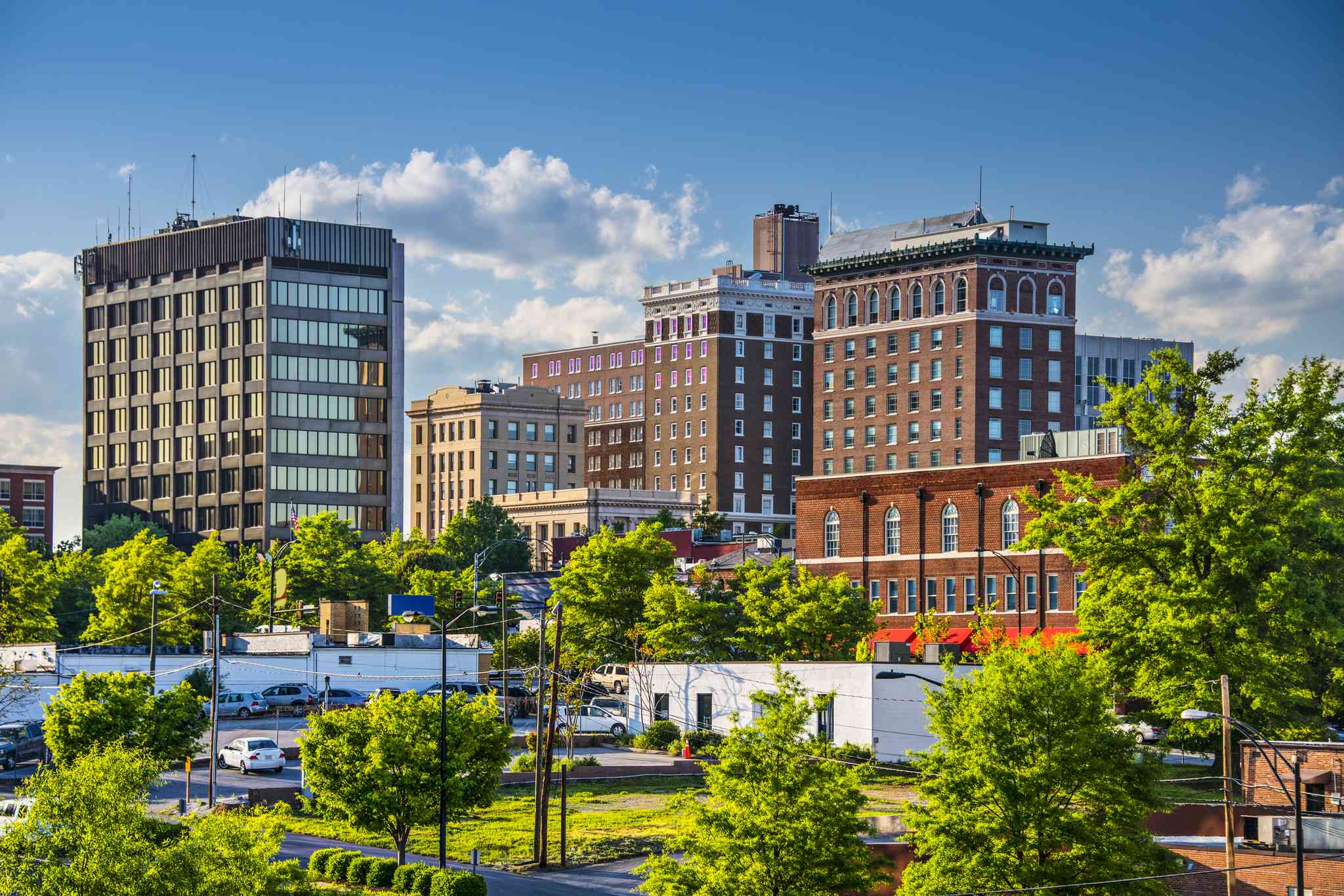 Vacker vy över Washington, D.C. - privat dagsutflykt från Greenville, SC - foto 7