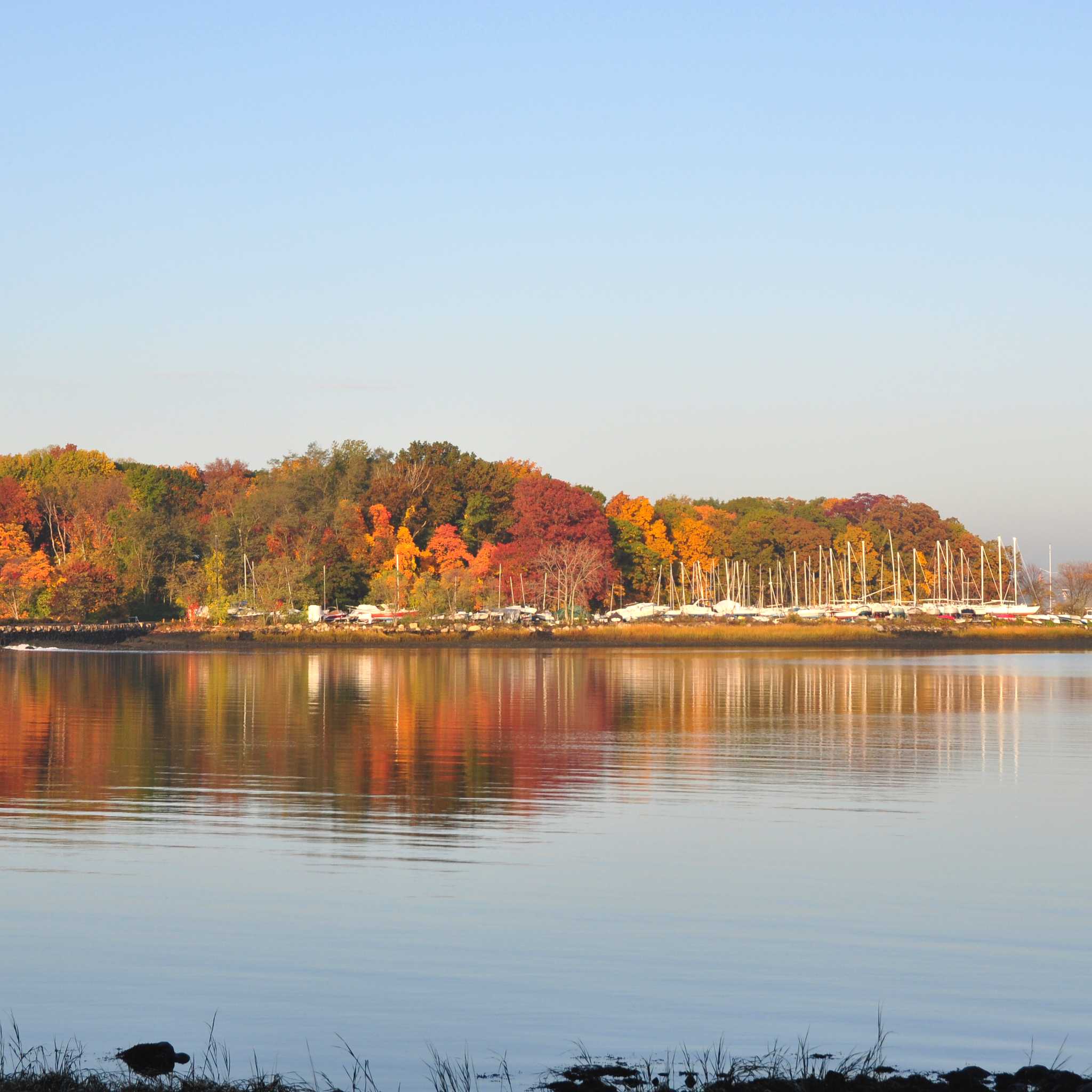 Greenwich, CT