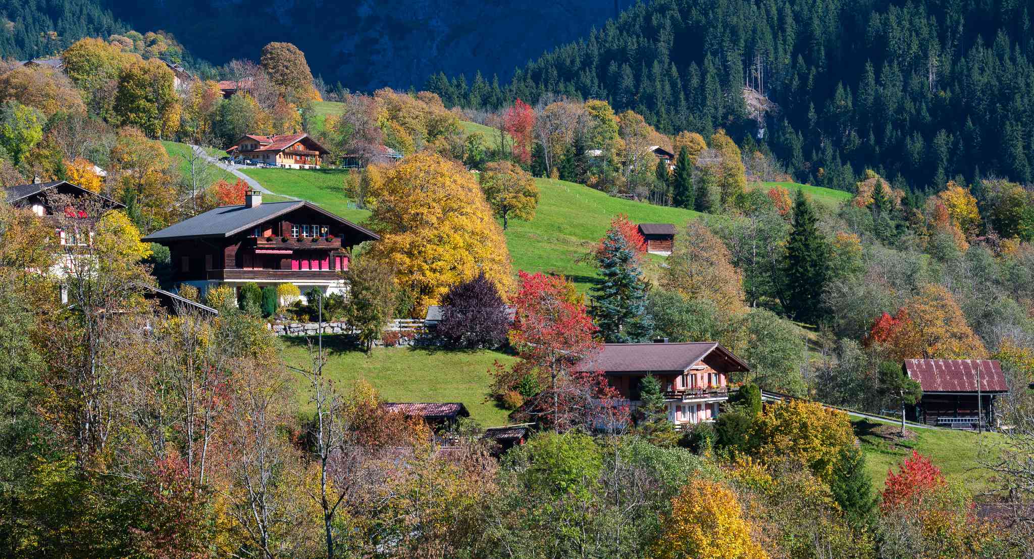 Vue pittoresque de Grindelwald - excursion privée d'une journée depuis Lucerne - photo 4