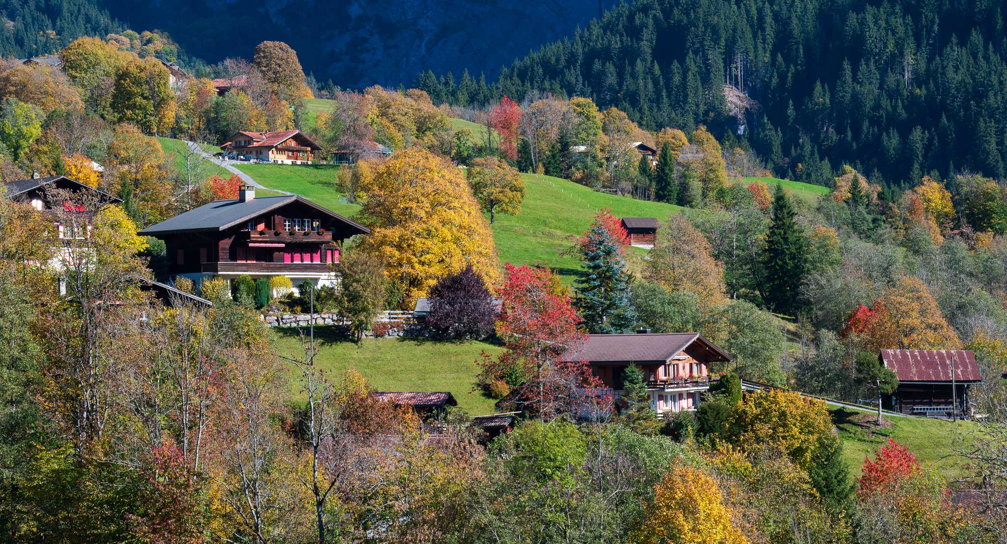 Arrêt de l'itinéraire à Grindelwald lors d'une excursion privée d'une journée depuis Montreux