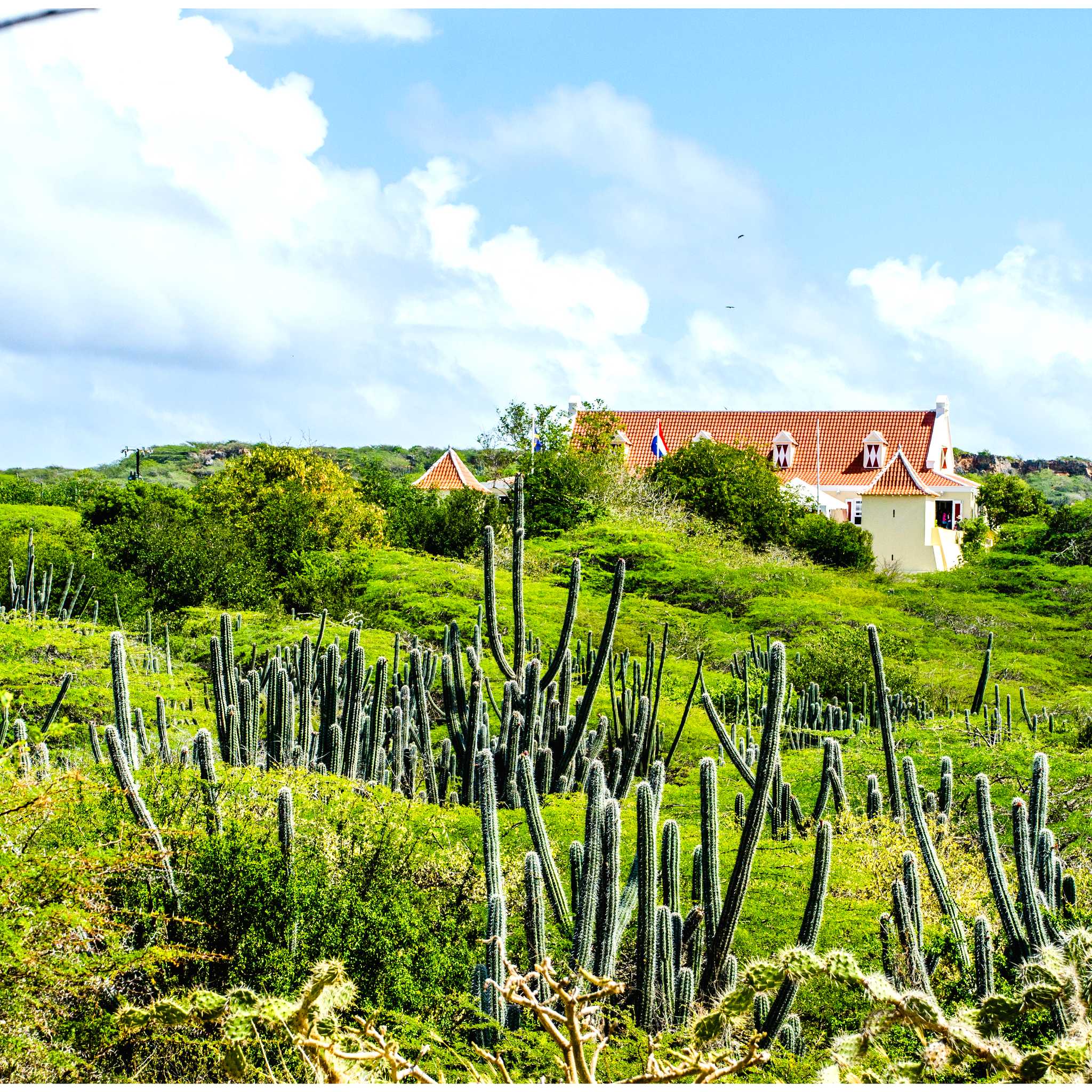 Grote Berg, Curacao