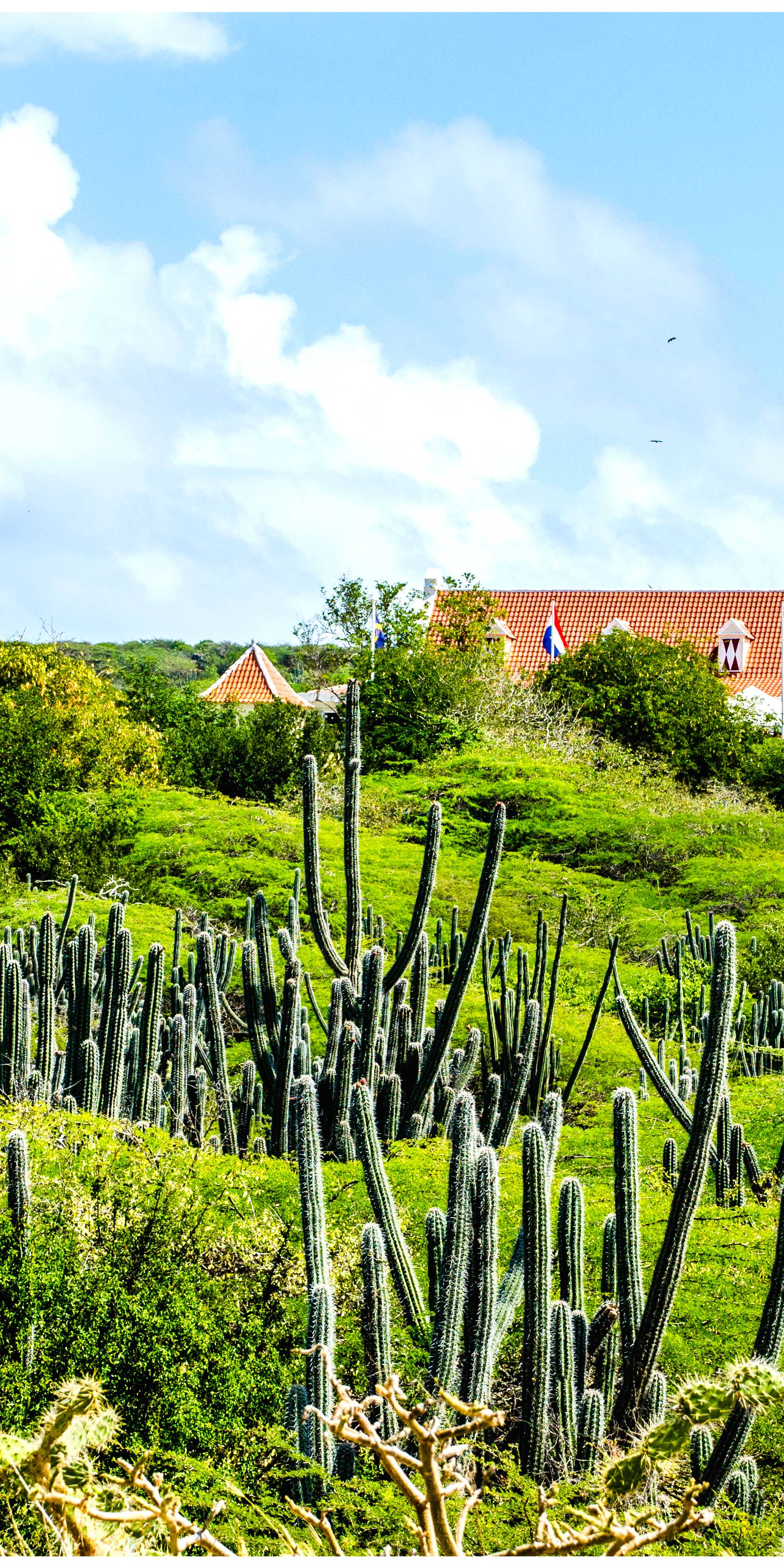 Grote Berg, Curacao