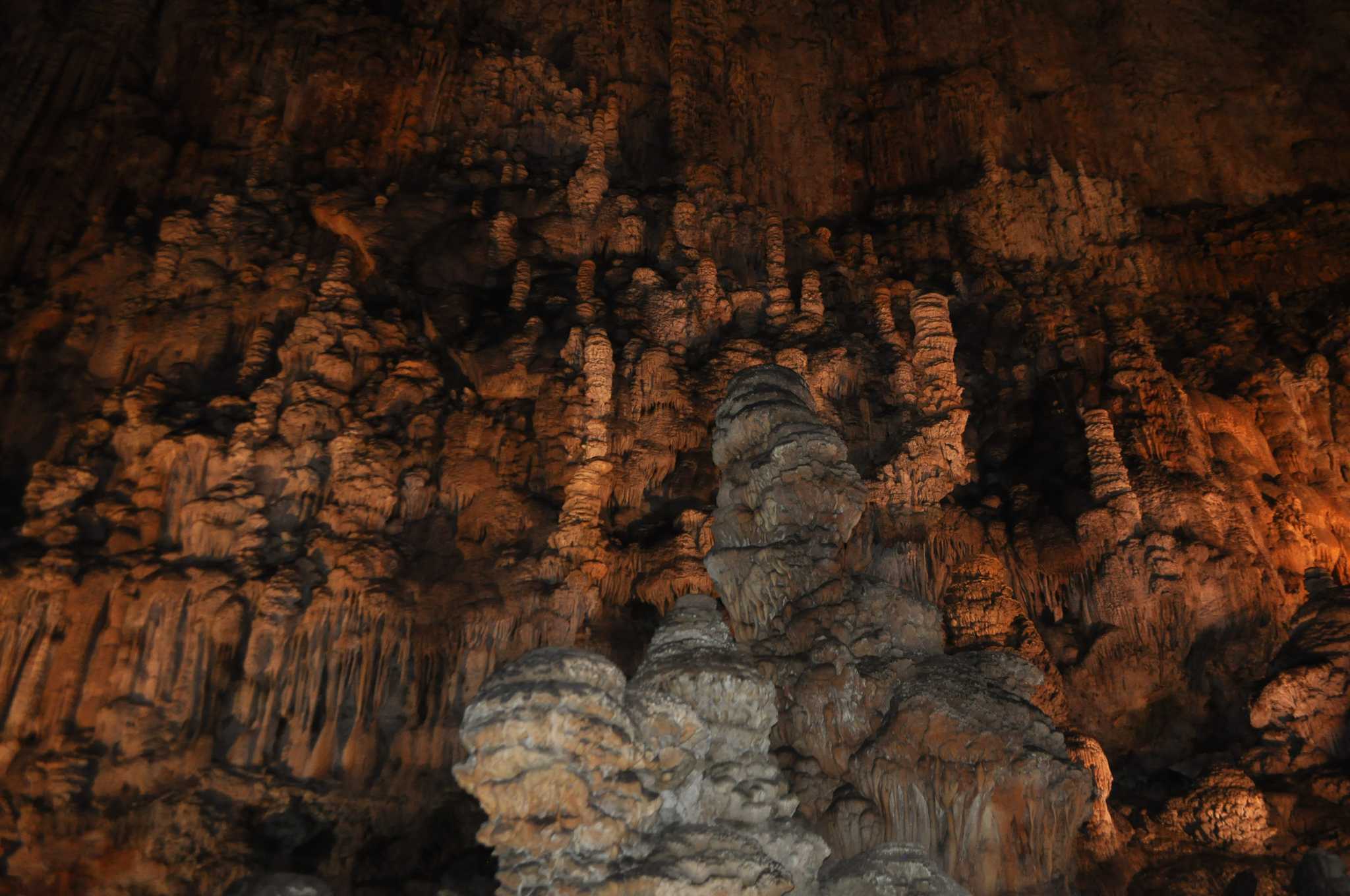 Itinerary stop at Grotta Gigante on private day trip from Rijeka