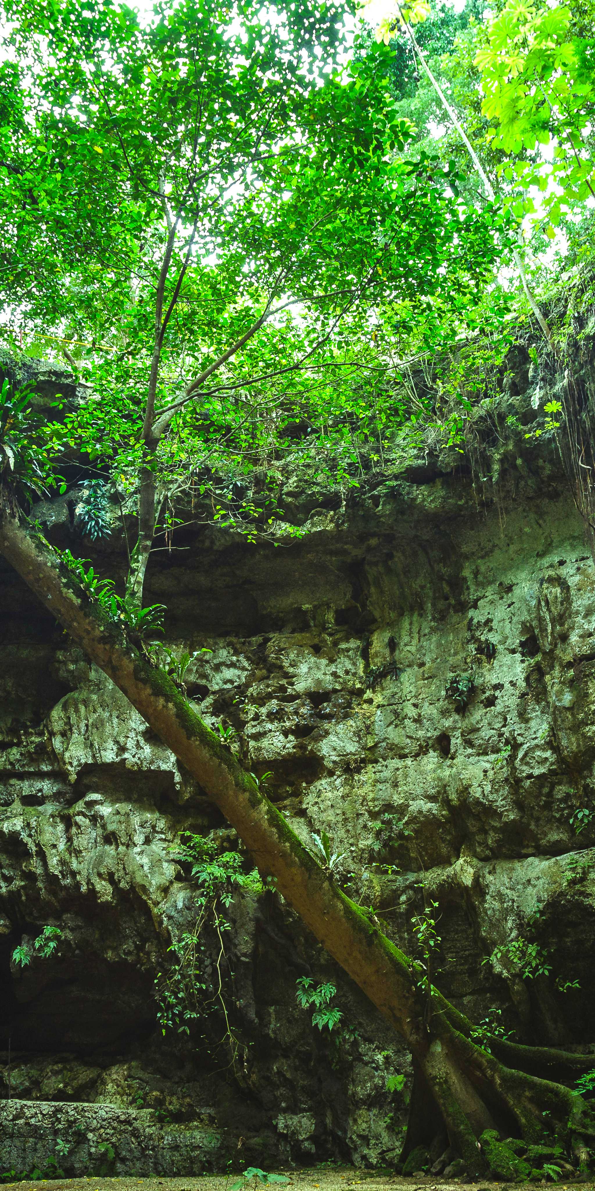 卡尔切托克洞穴