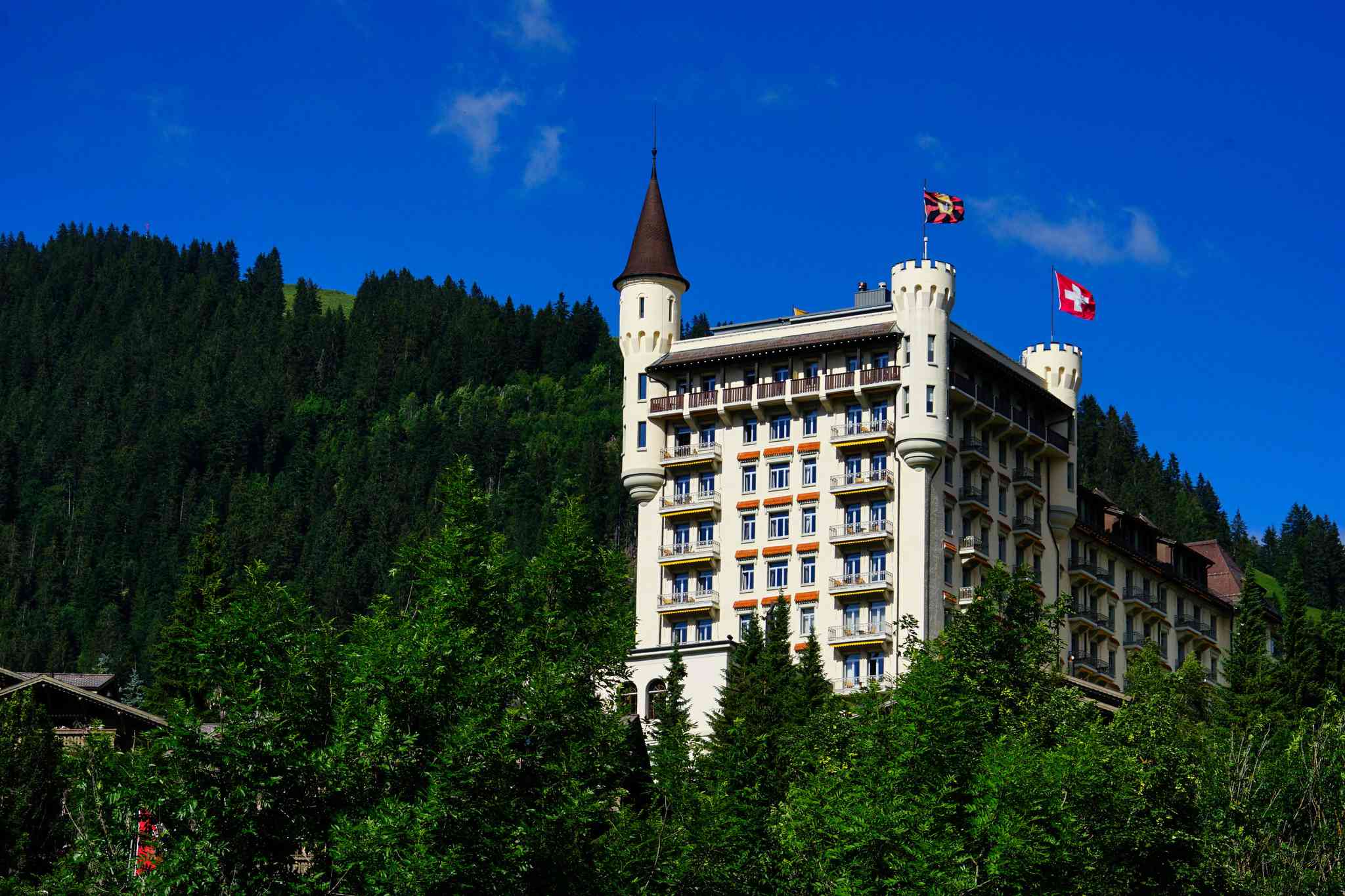Zurich 的风景 - 从 Gstaad 出发的私人 一日游 - 照片 8