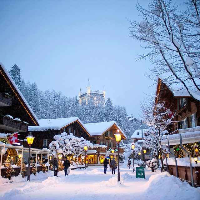 Geneva to Gstaad: Private Day Trip