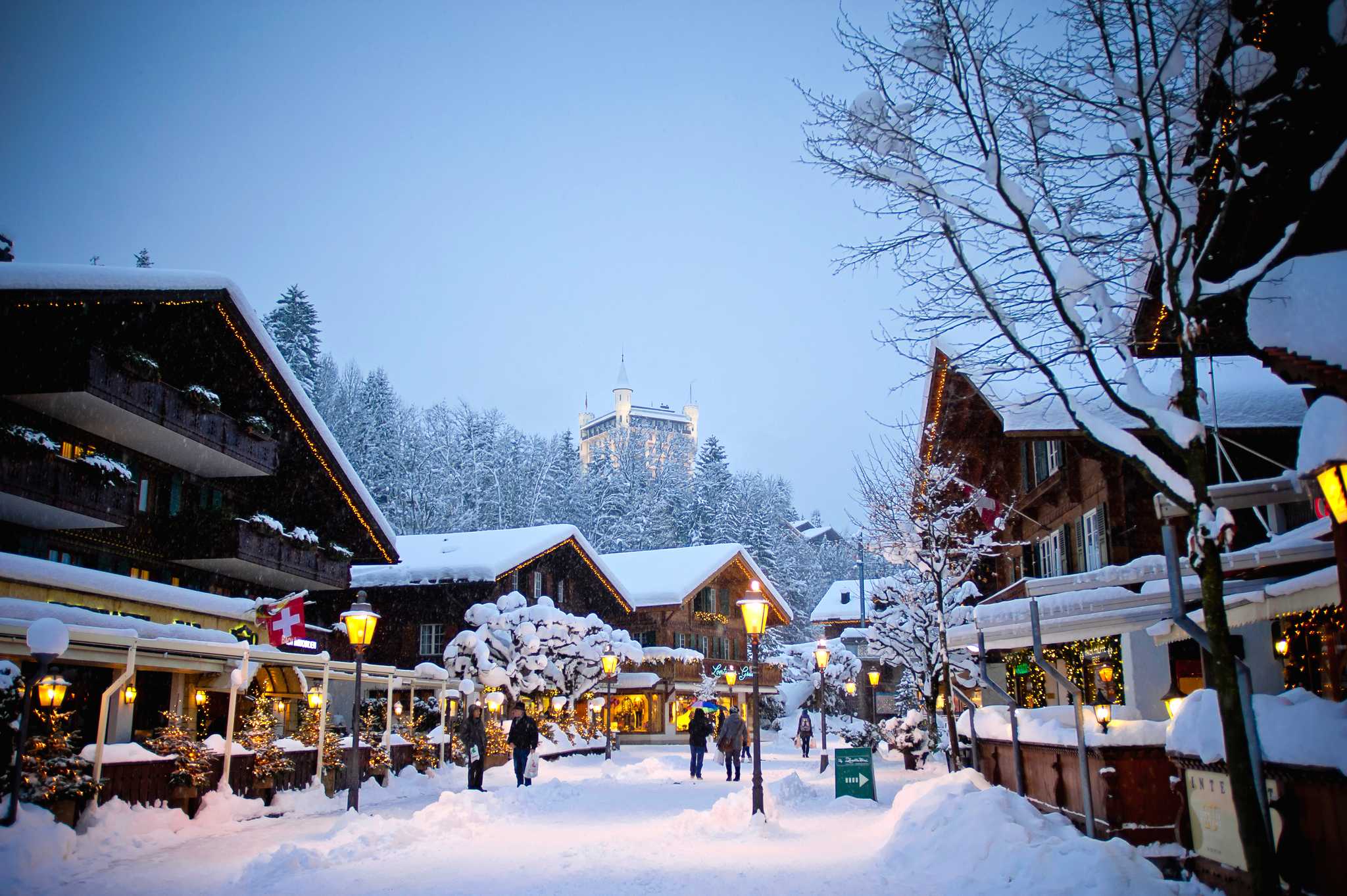 Geneva to Gstaad: Private Day Trip