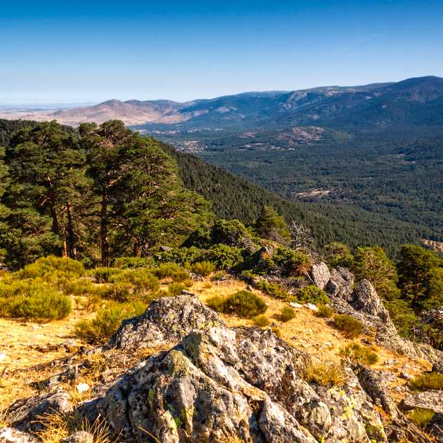 Madrid to Guadarrama National Park: Private day trip