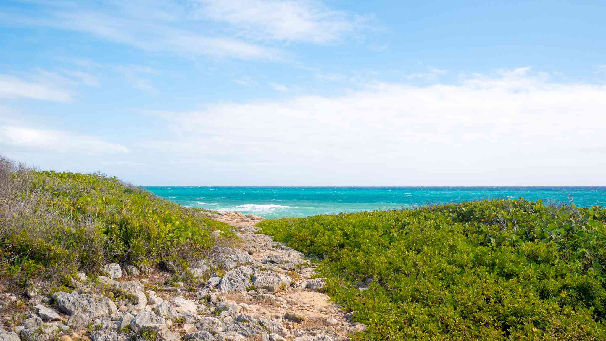 Scenic view of Guanica State Forest - private day trip from San Juan - photo 2