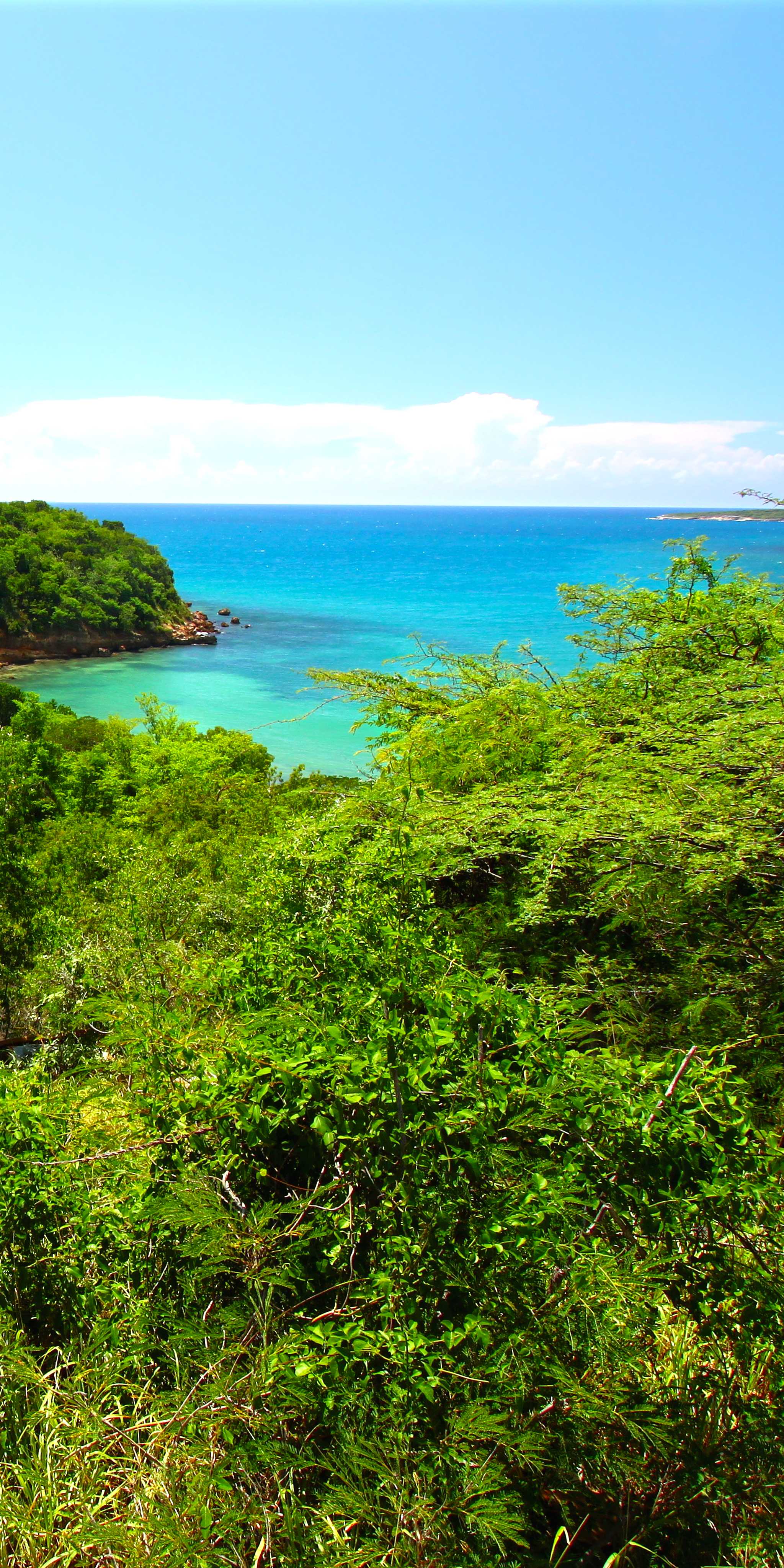 Guanica State Forest