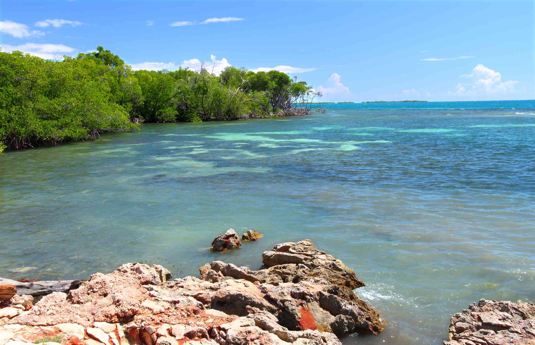 Scenic view of Guanica - private day trip from San Juan - photo 3