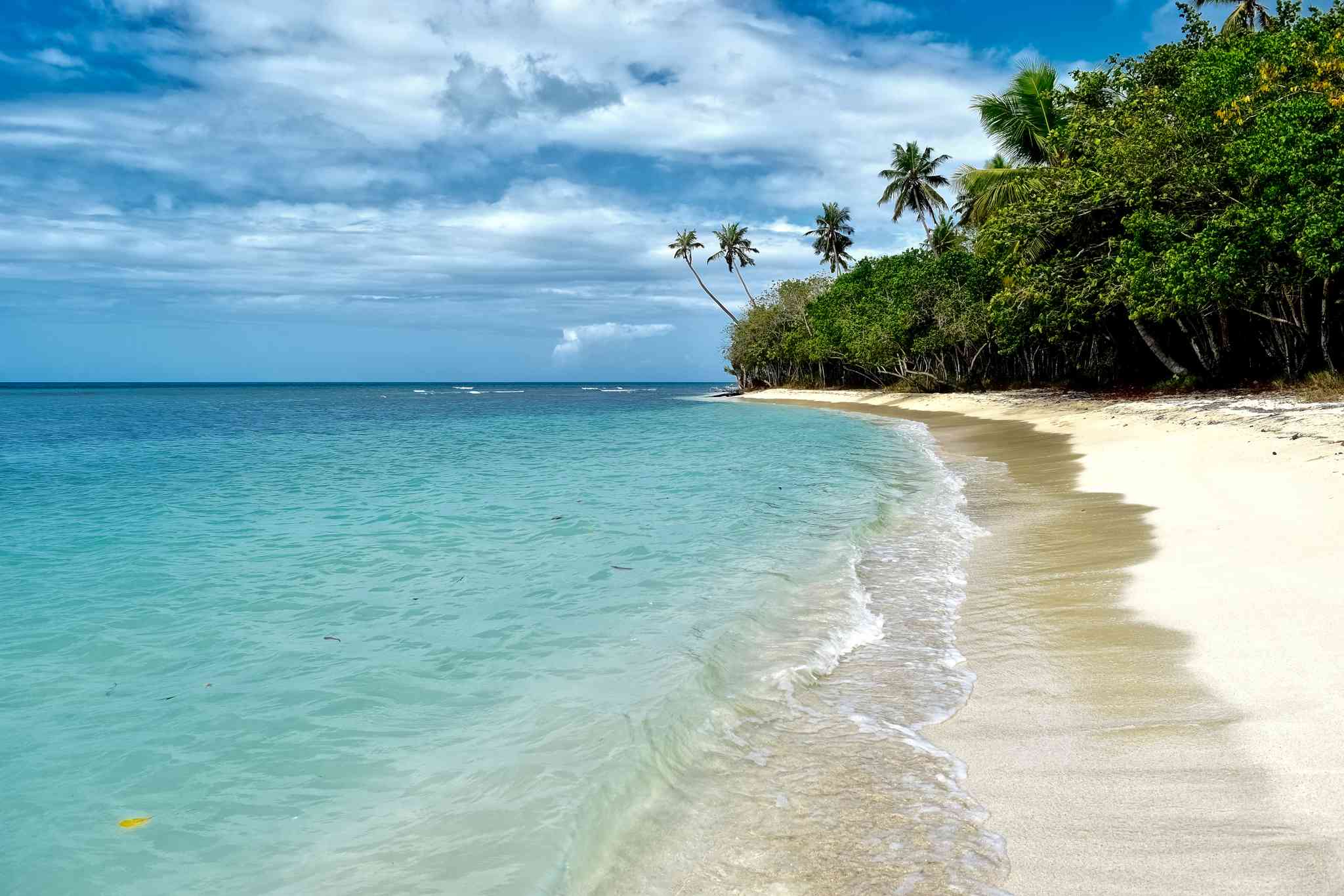Scenic view of Guayama - private day trip from San Juan - photo 4