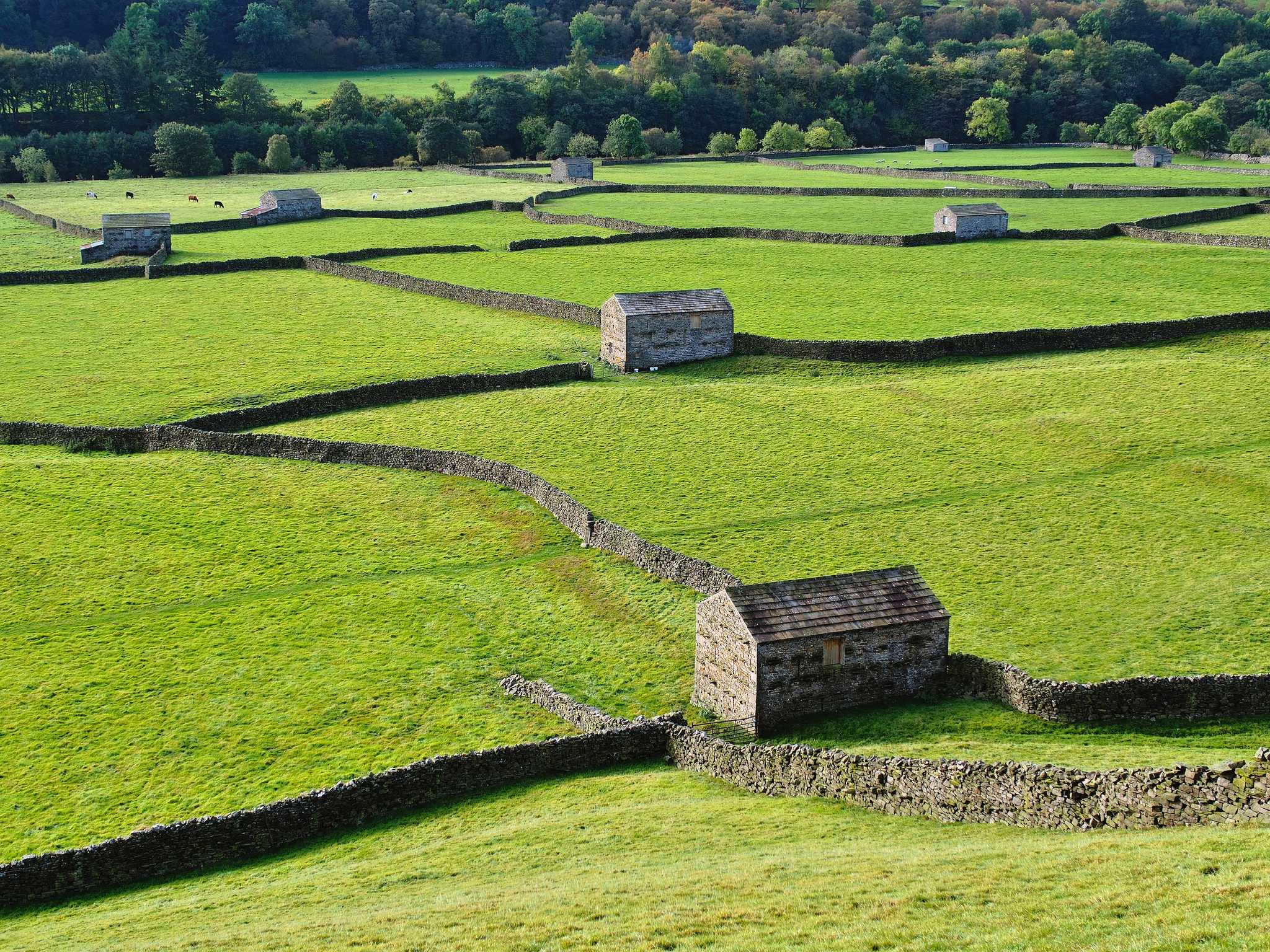 Private day trip option from Leeds
