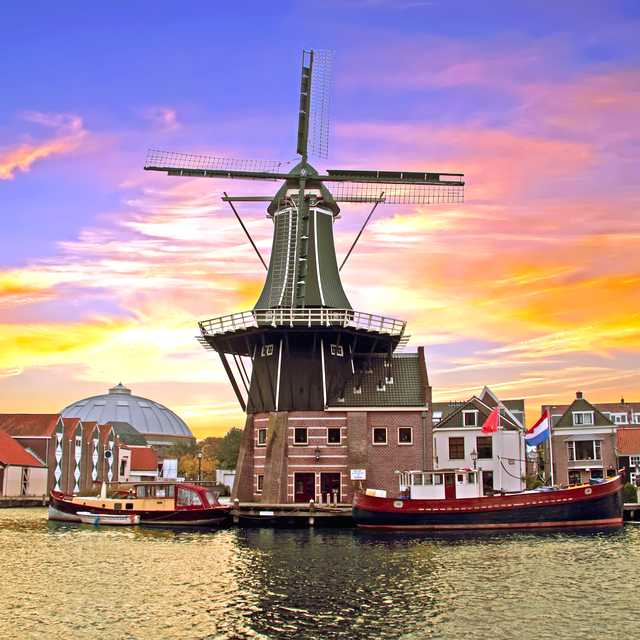 Amsterdam to Haarlem: Private day trip