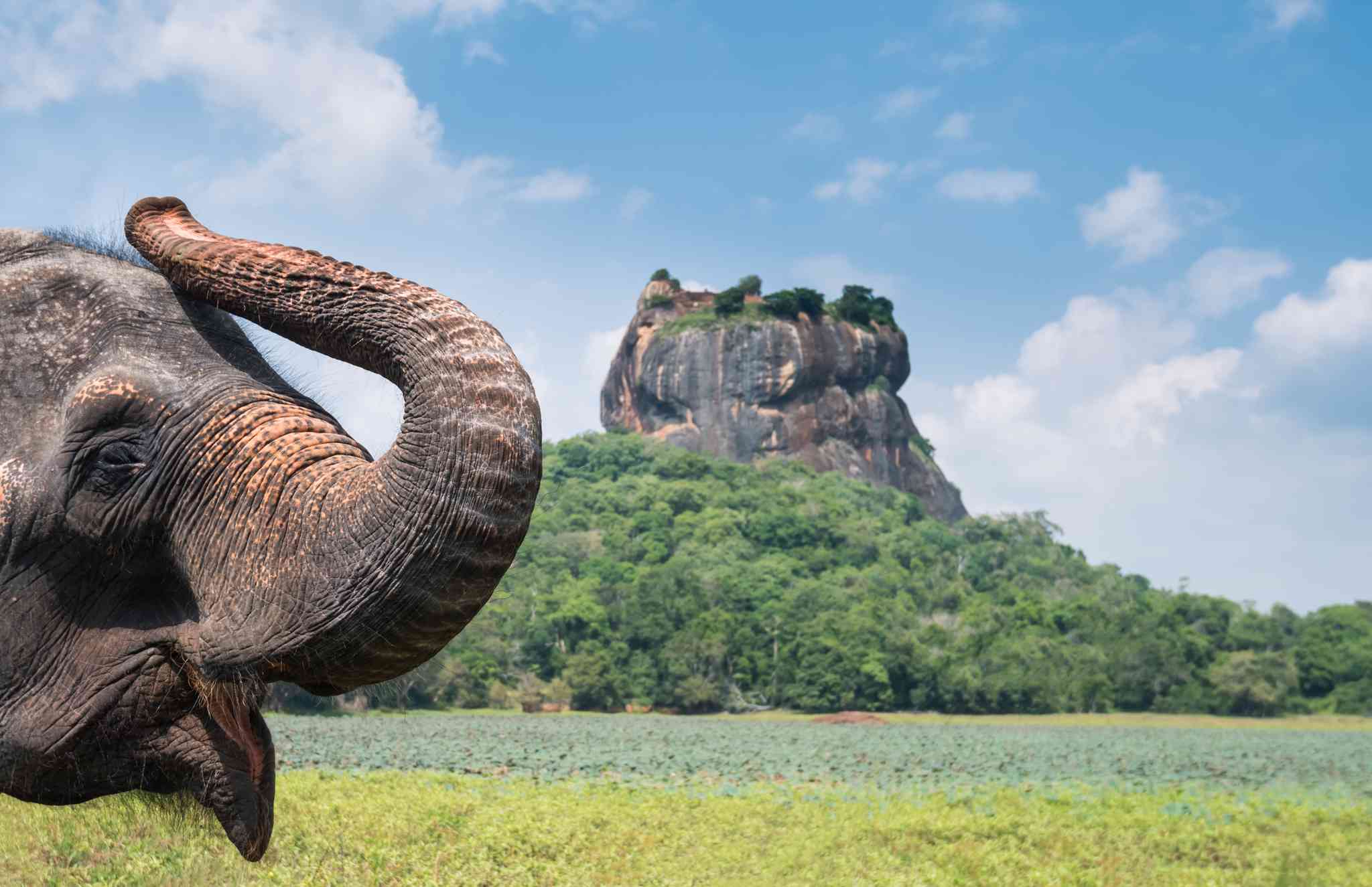 Scenic view of Ratmalana - private day trip from Habarana - photo 3