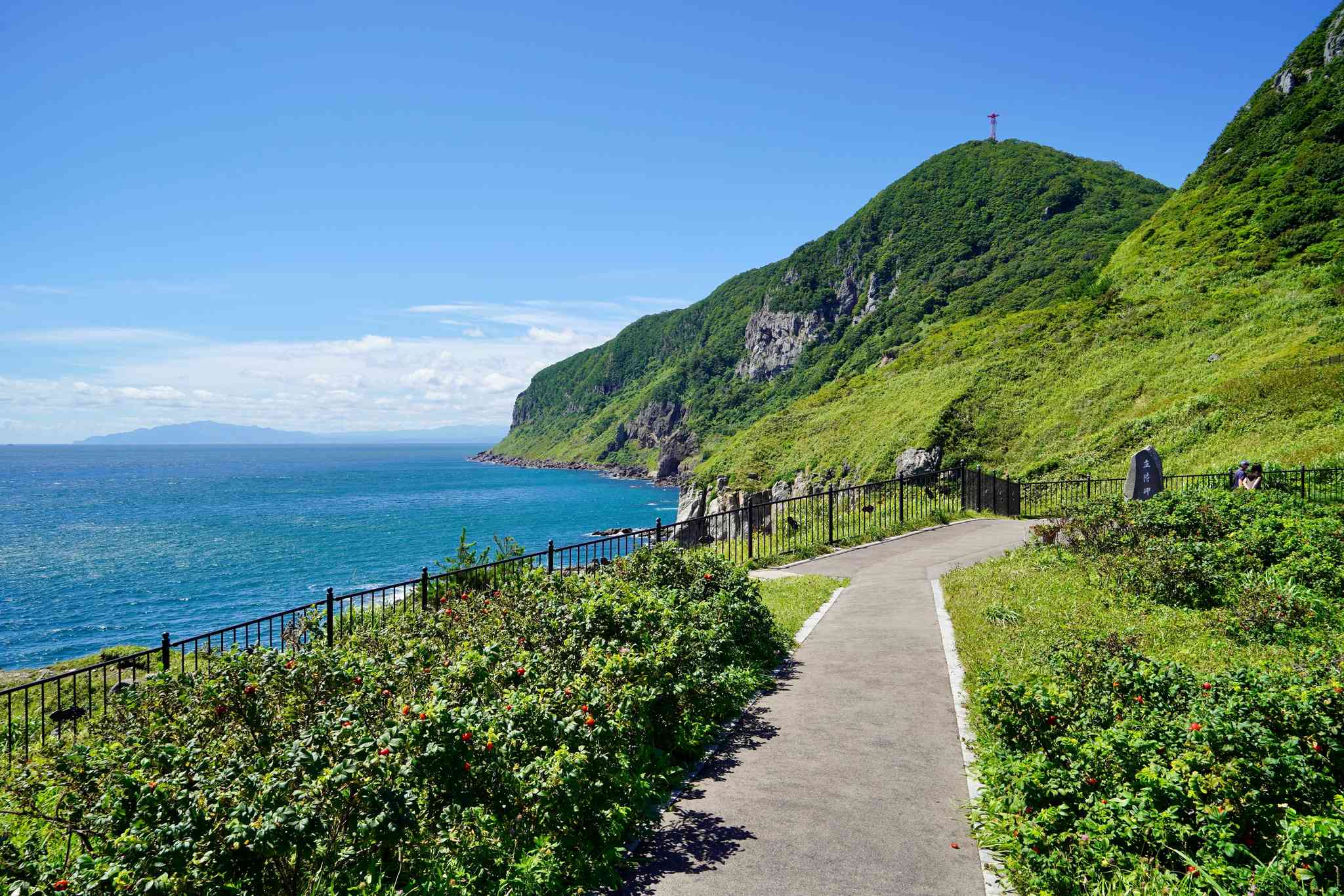 Sapporo 的风景 - 从 Hakodate 出发的私人 一日游 - 照片 6