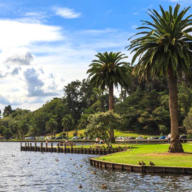 Auckland to Hamilton and Matamata: Private day trip