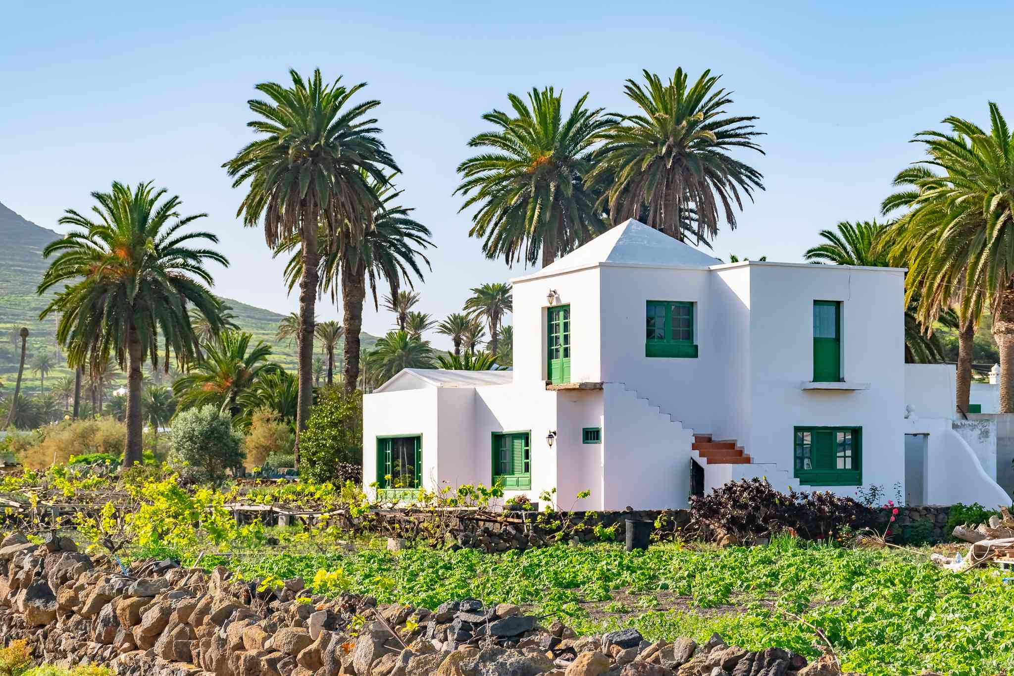 Vue pittoresque de Arrecife - excursion privée d'une journée depuis Haria - photo 4