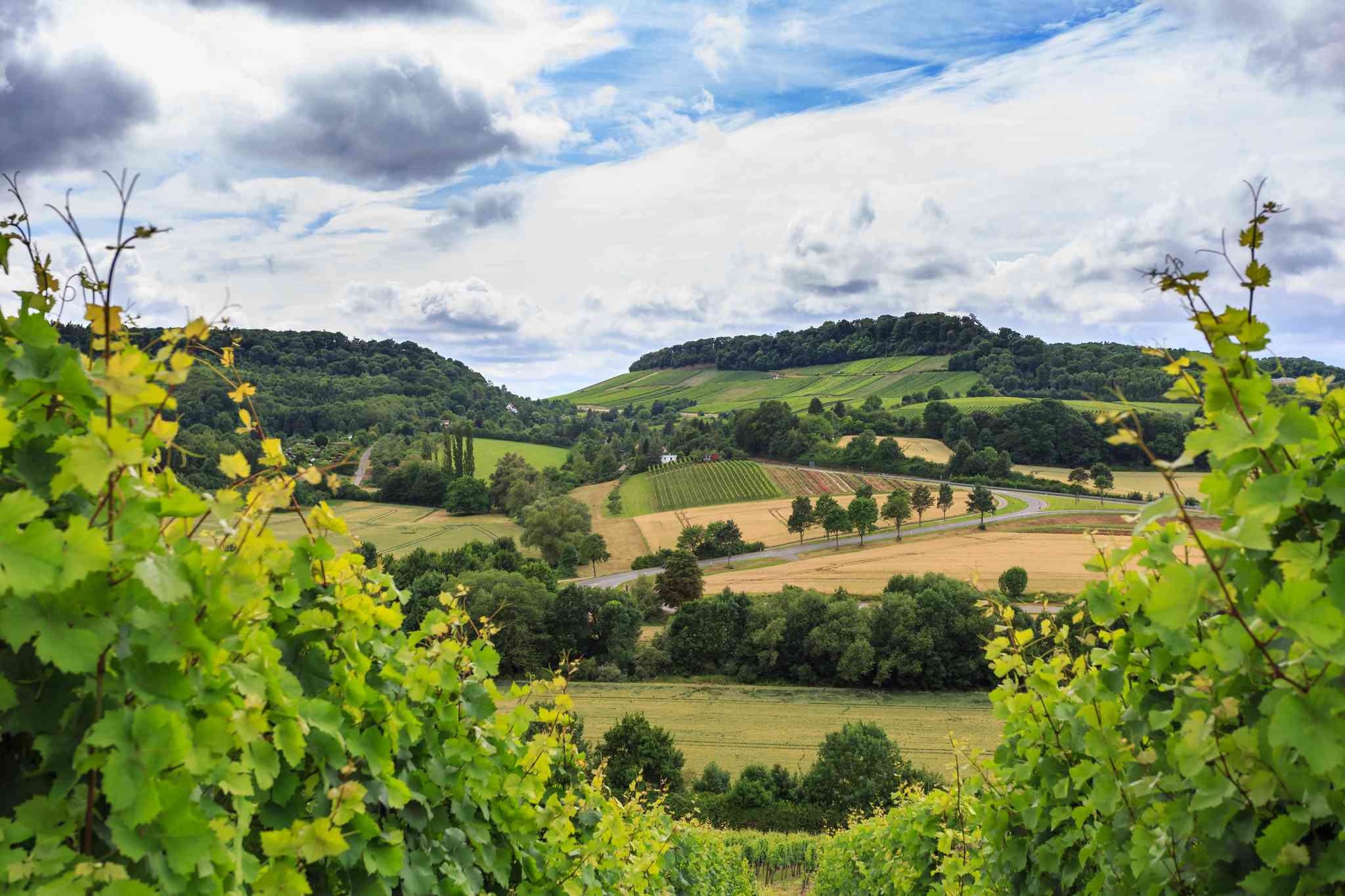Scenic view of Heilbronn - private day trip from Frankfurt Airport - photo 2