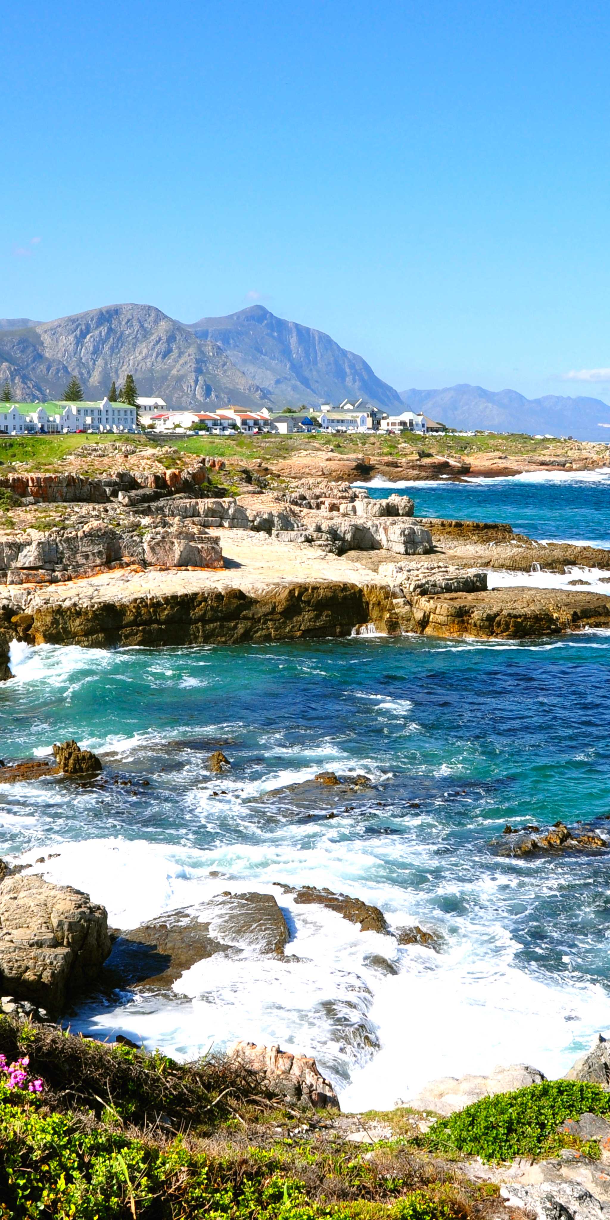 Hermanus
