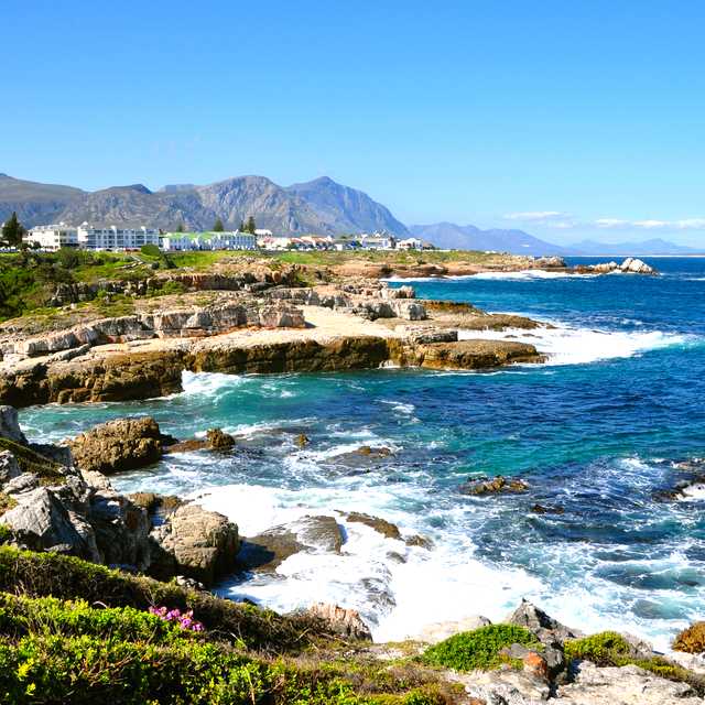 Cape Town to Hermanus: Private day trip