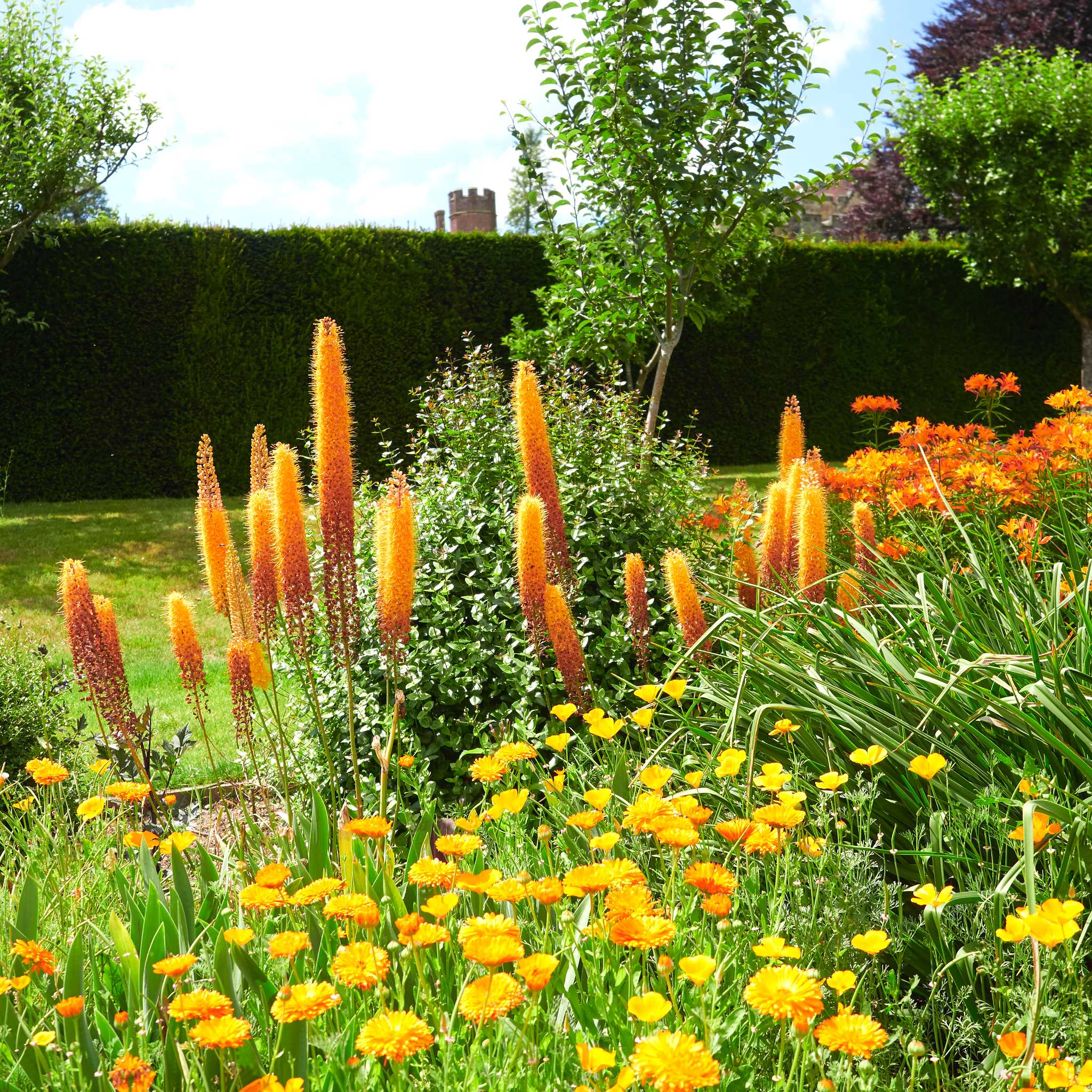 ํค์คํฐ์ฝค ๊ฐ๋