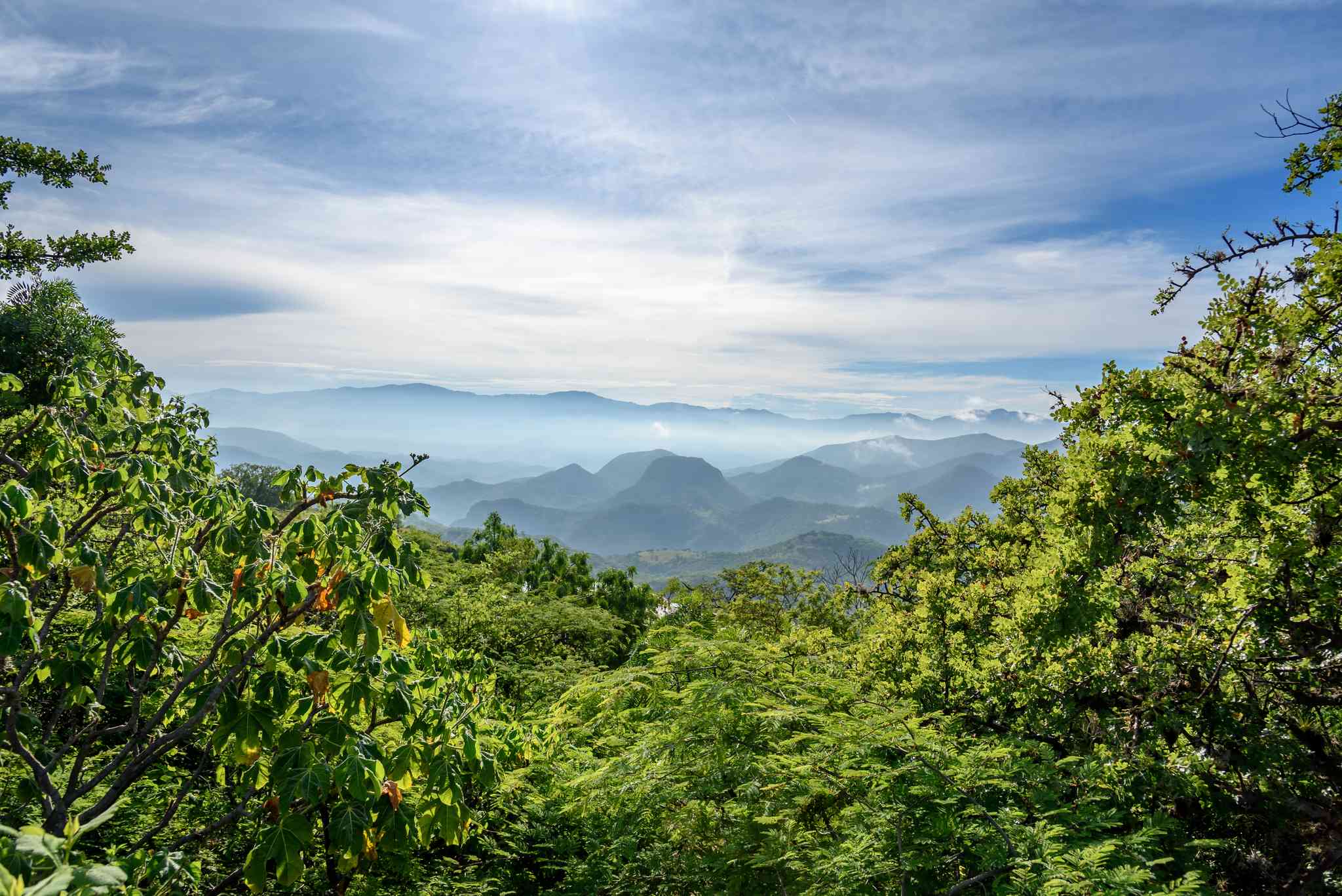 瓦哈卡·德·华雷斯 的风景 - 从 赫尔韦·艾尔·阿瓜 出发的私人 一日游 - 照片 5