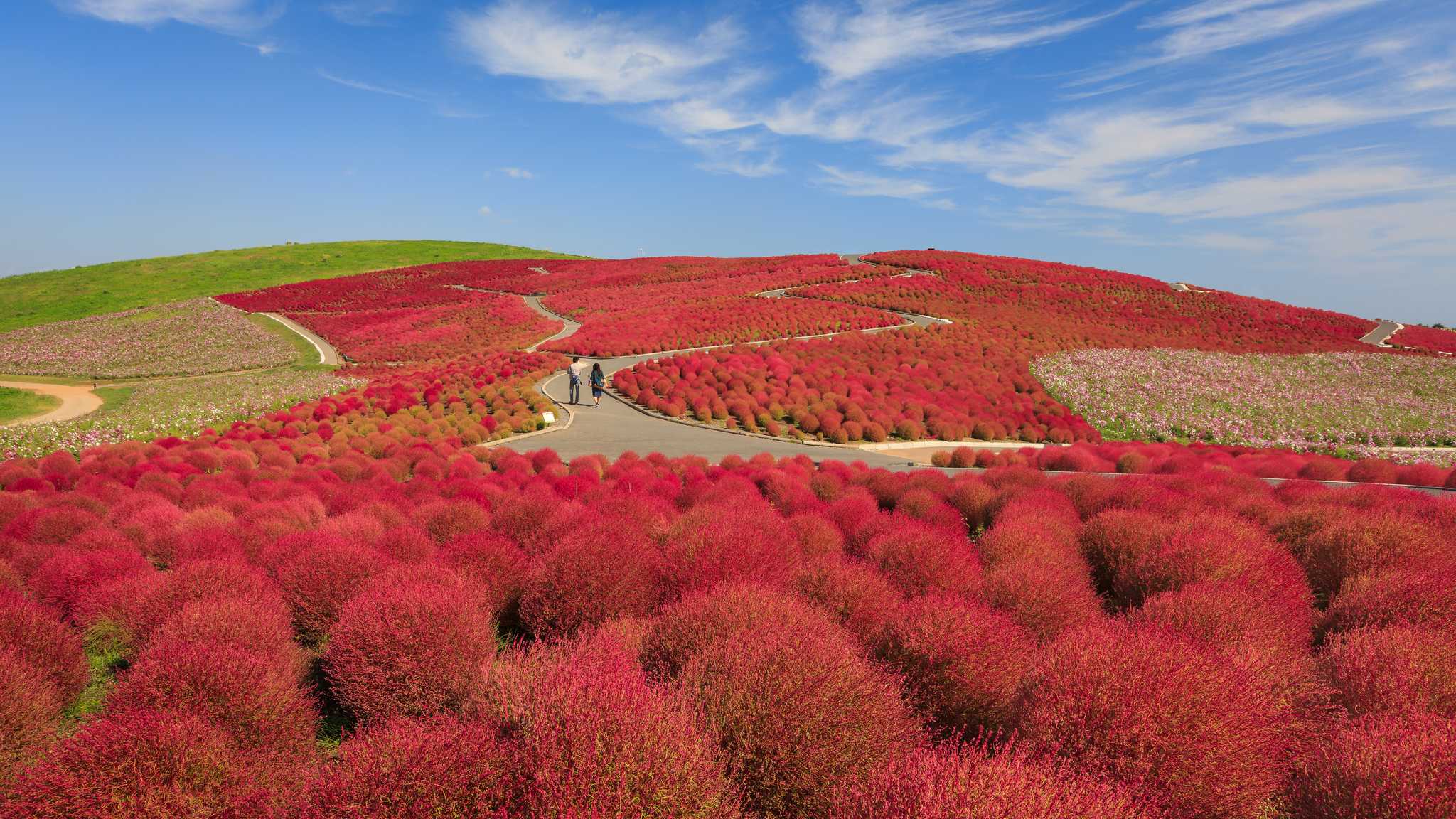 Hitachi Seaside Park